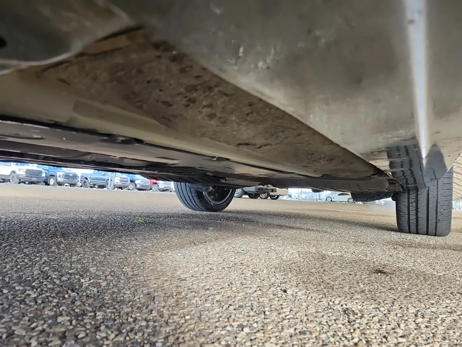 Undercarriage - Driver Photo