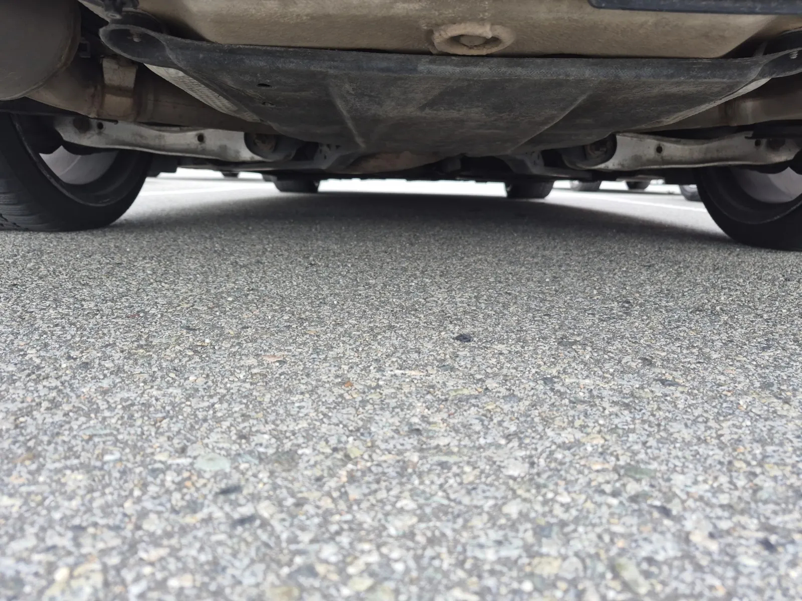 Undercarriage - Rear Photo