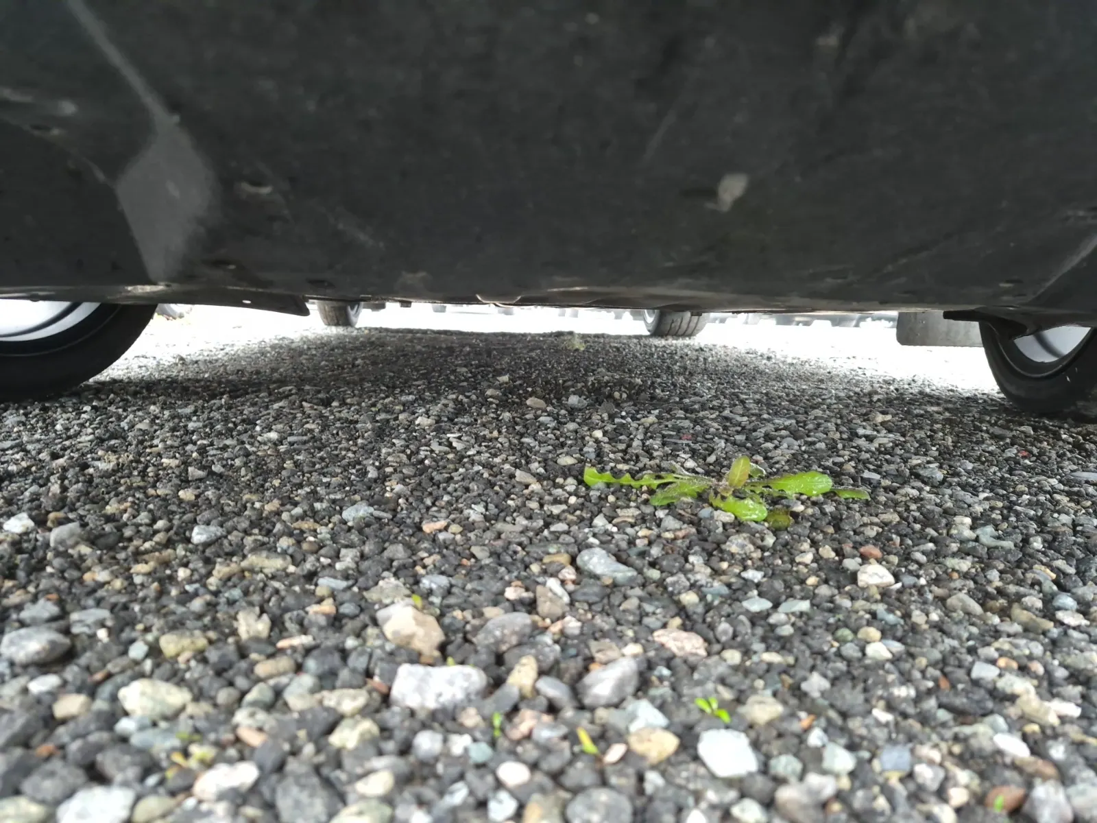 Undercarriage - Front Photo