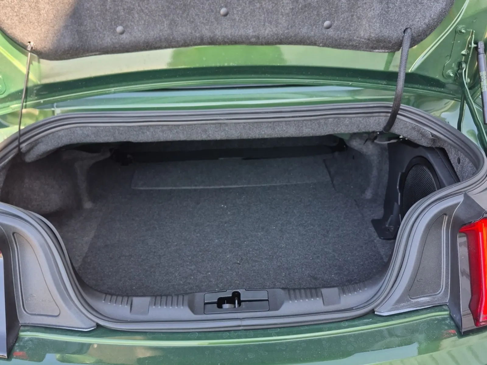 Cargo Area Photo