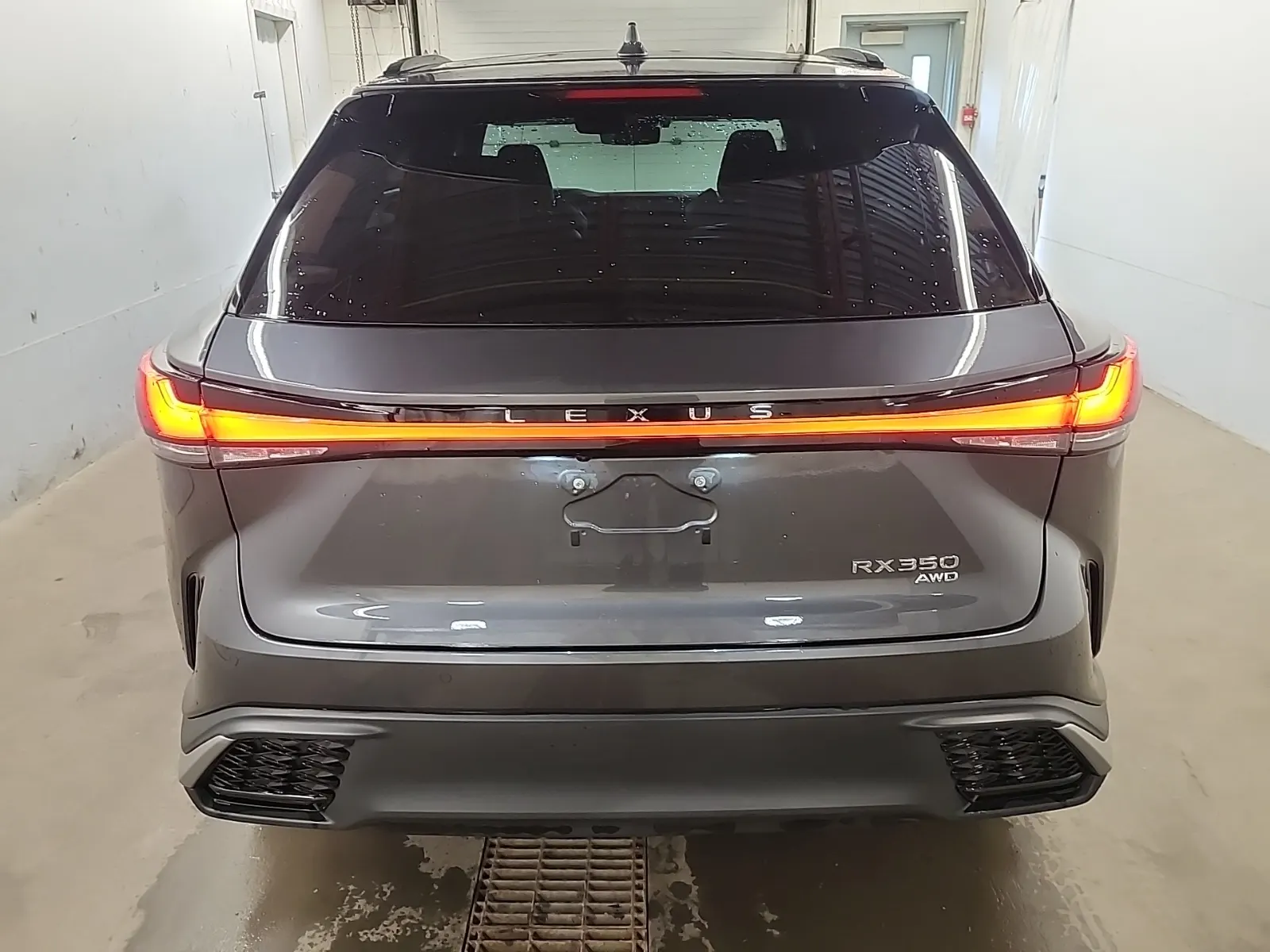 Full Rear Photo