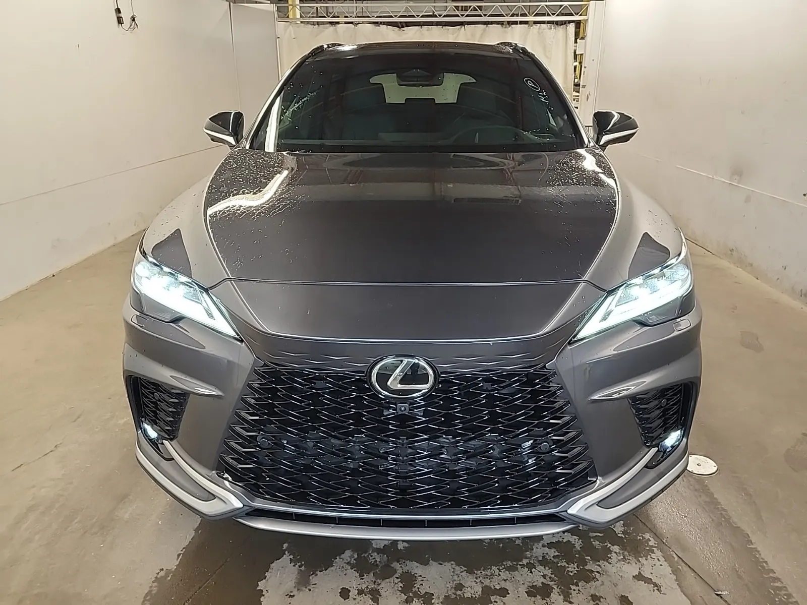 Full Front Photo