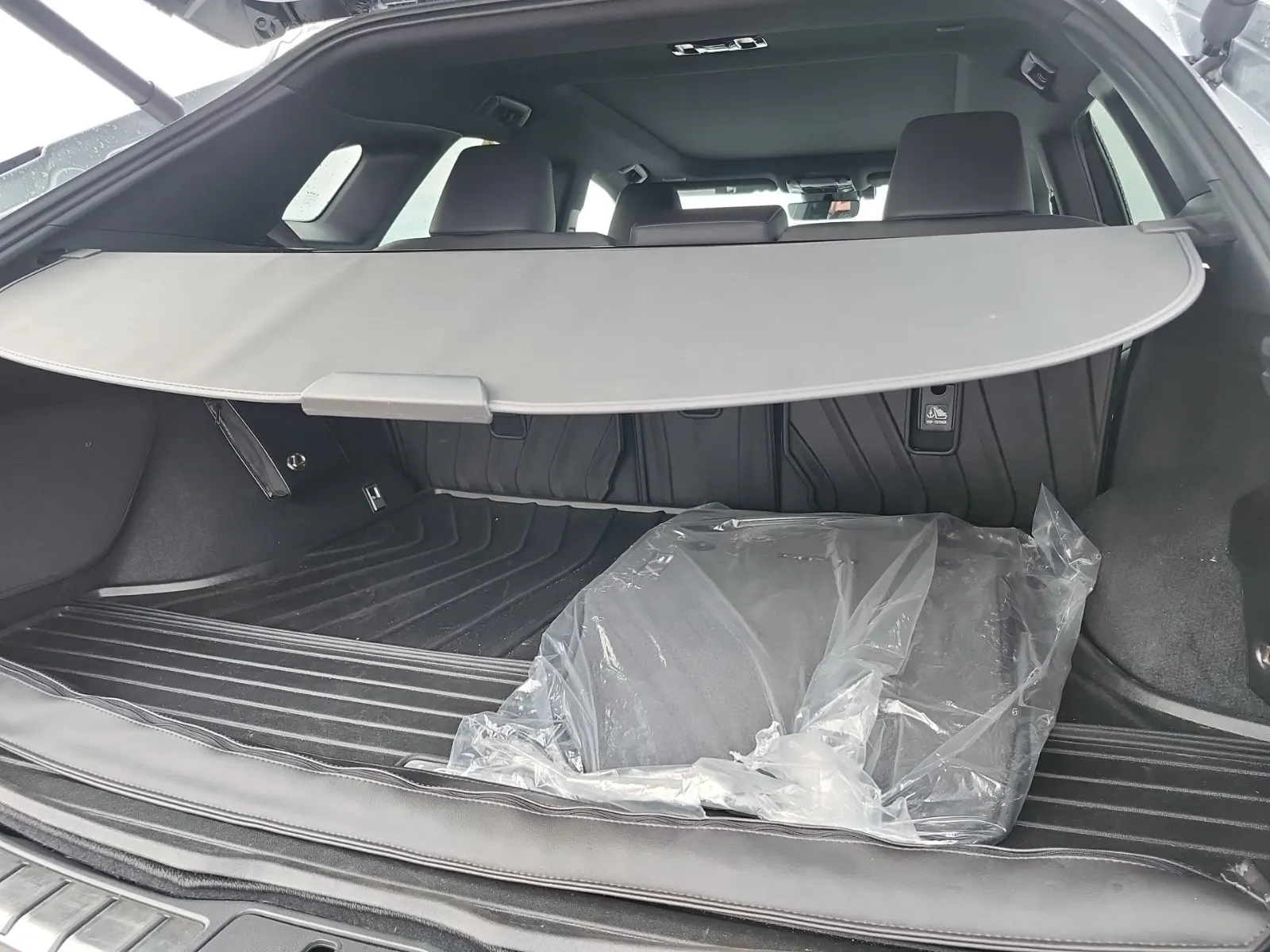 Cargo Area Photo
