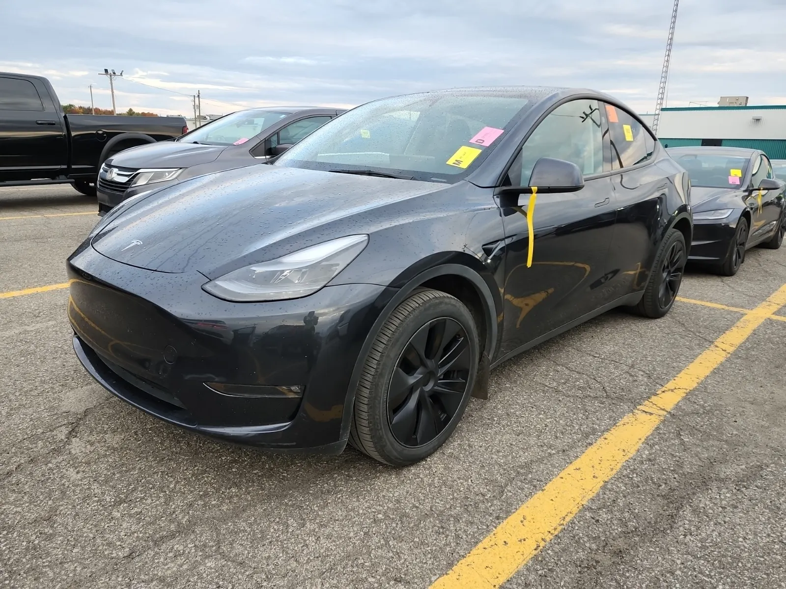 2025 Tesla Model Y