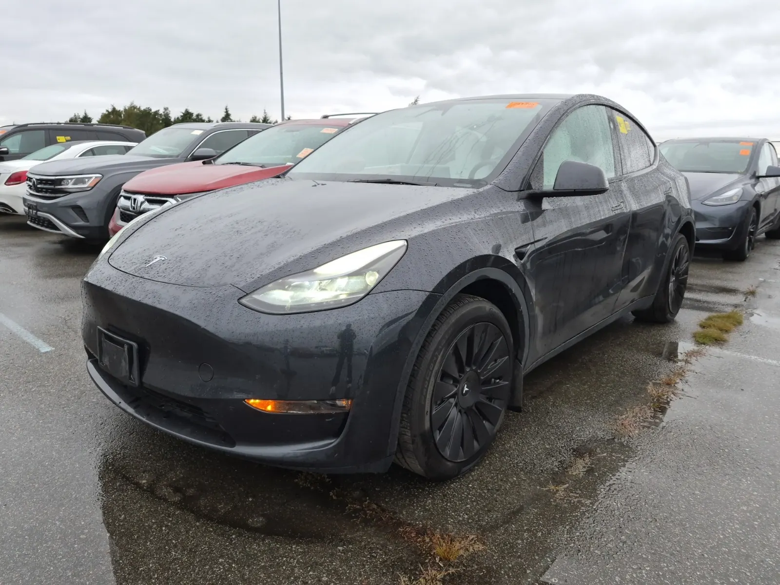 2024 Tesla Model Y