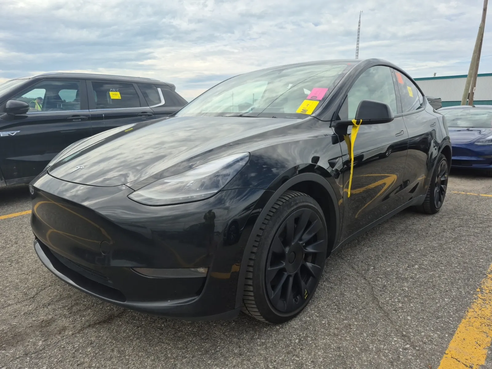 2024 Tesla Model Y