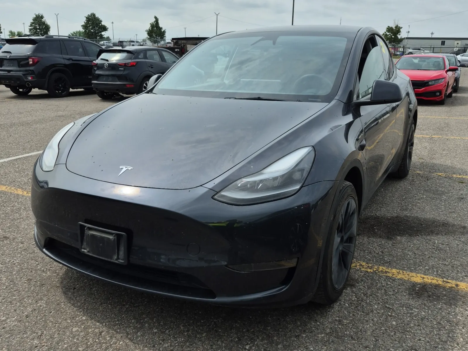 2024 Tesla Model Y