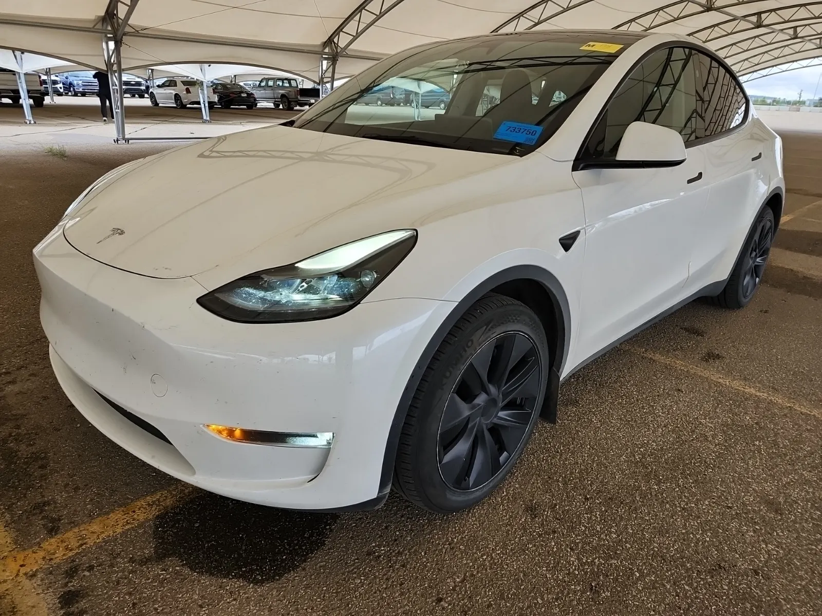 2025 Tesla Model Y