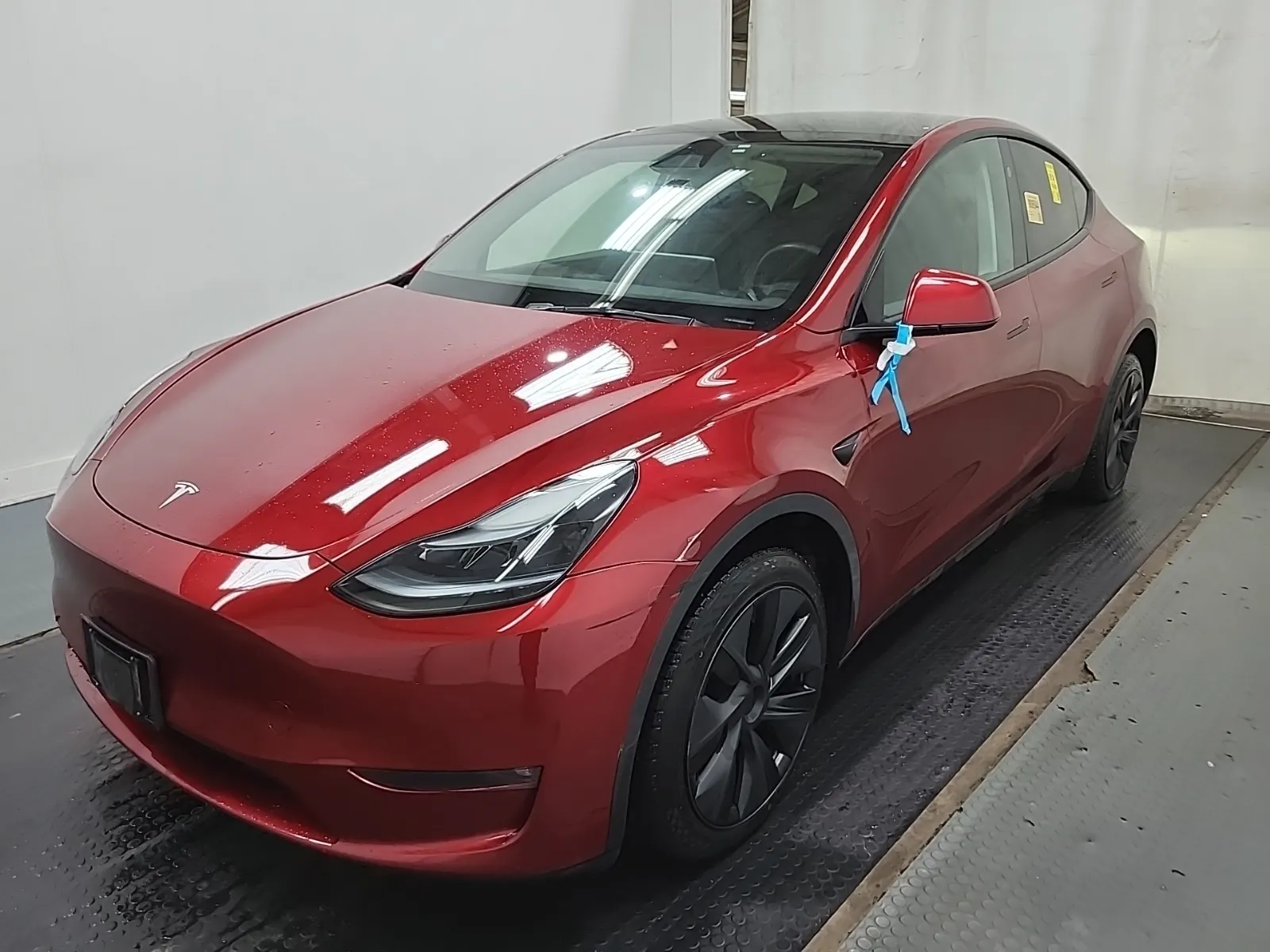 2025 Tesla Model Y