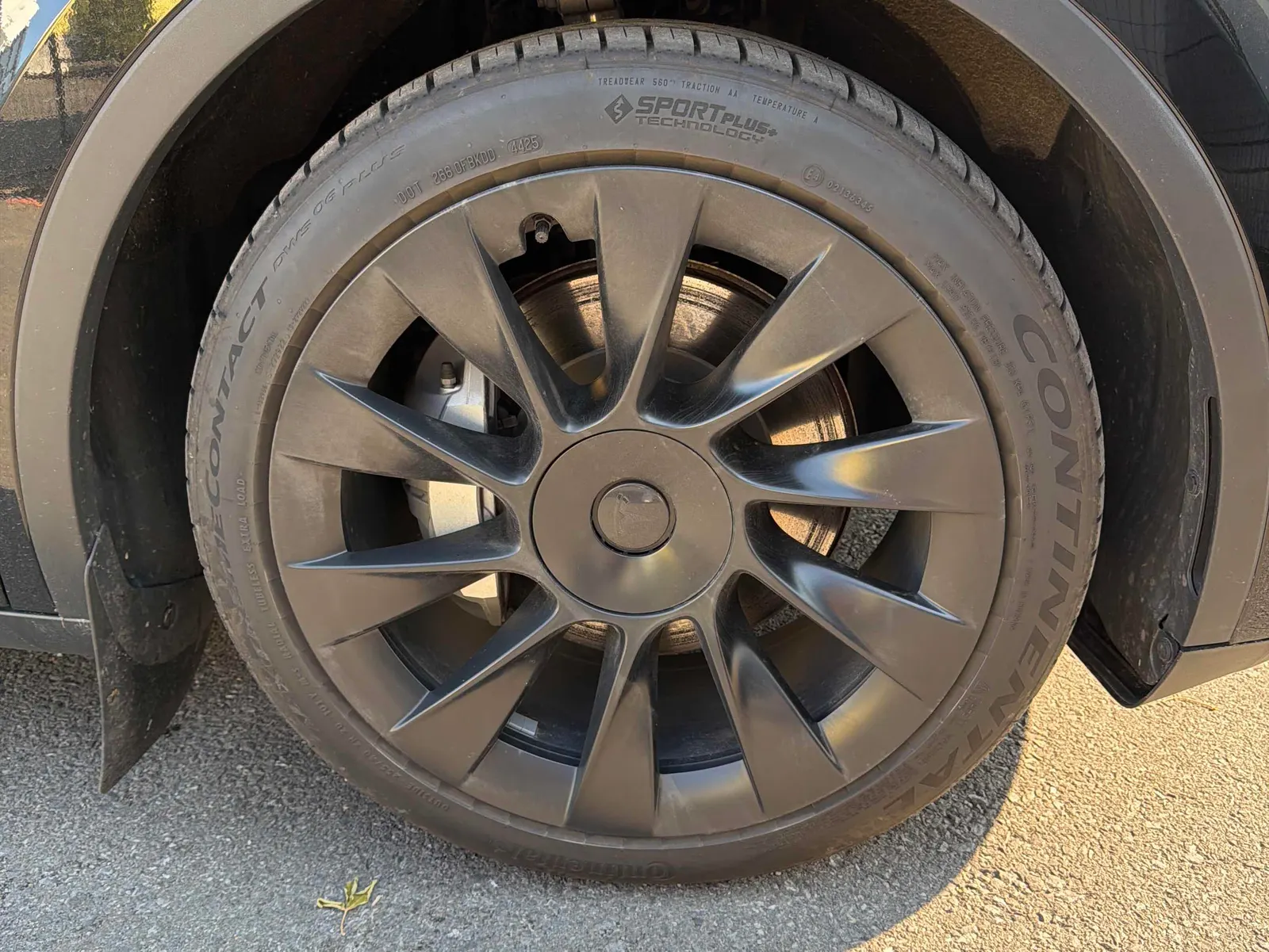 Tire