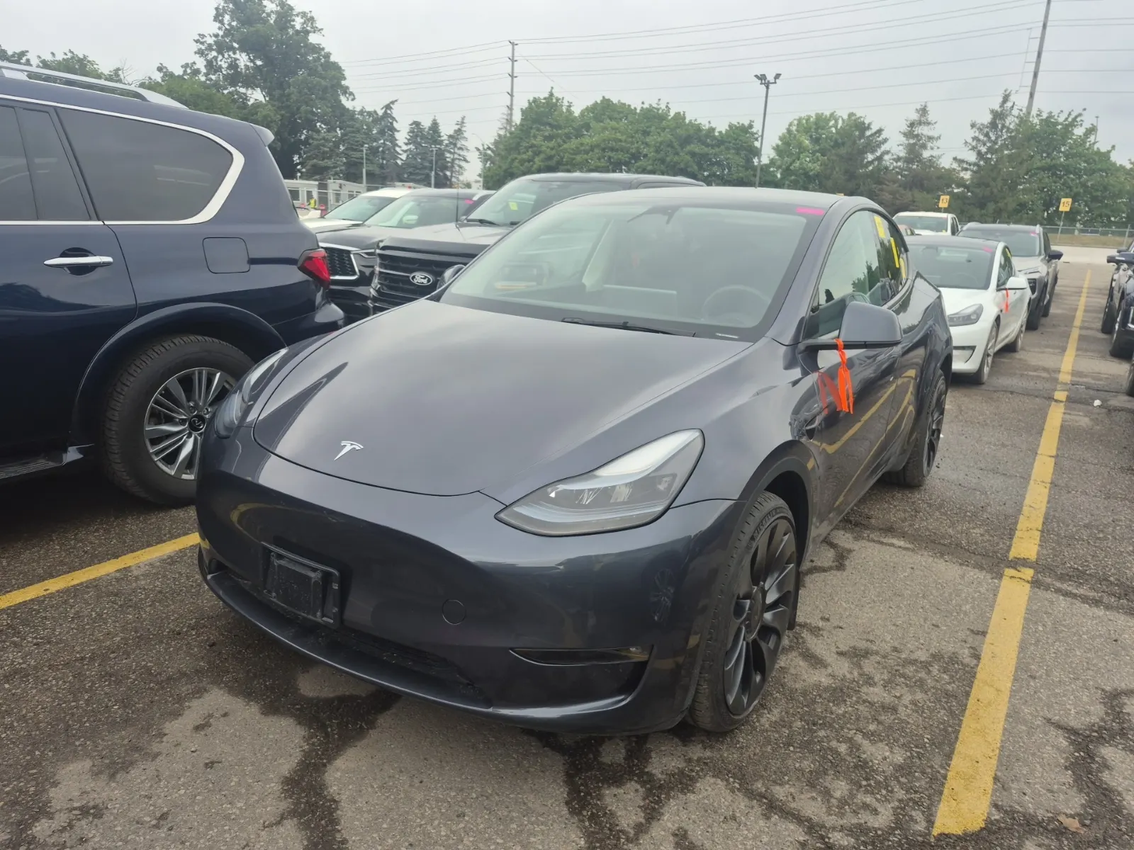 2023 Tesla Model Y