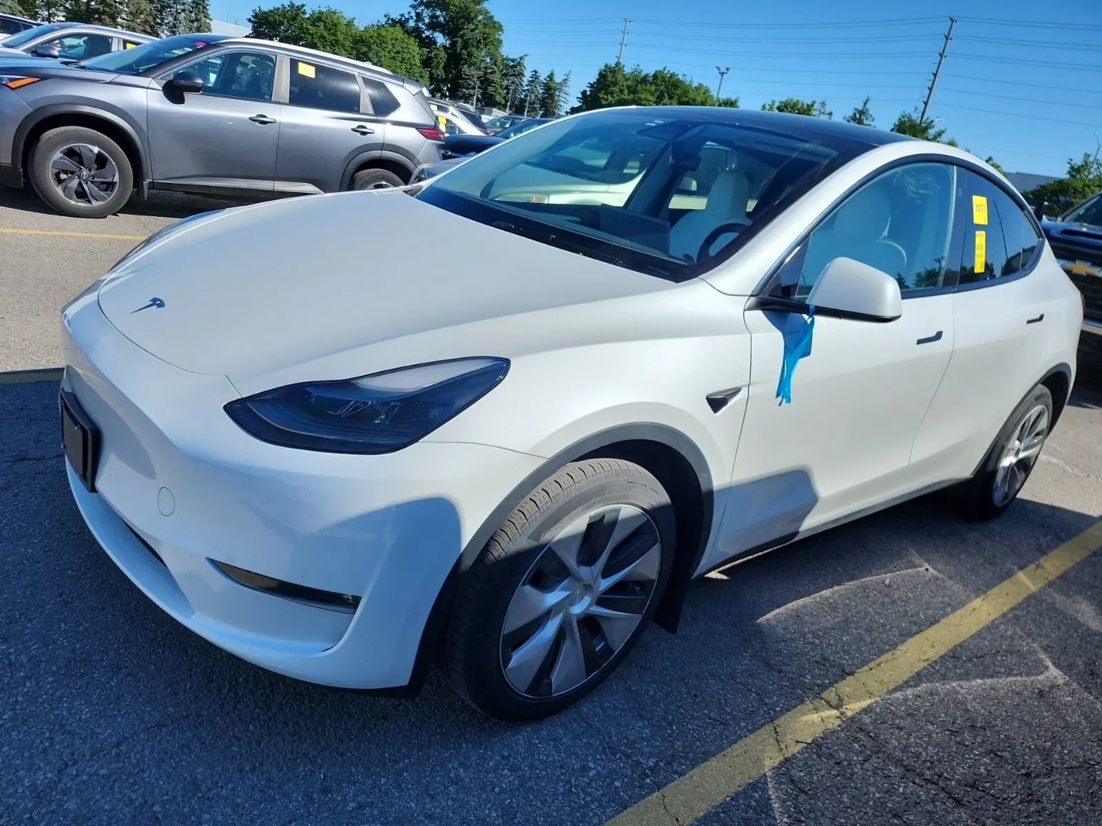 2023 Tesla Model Y