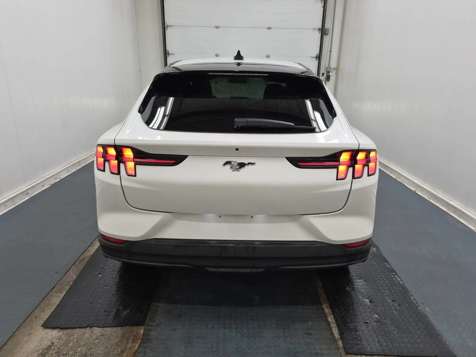 Full Rear Photo