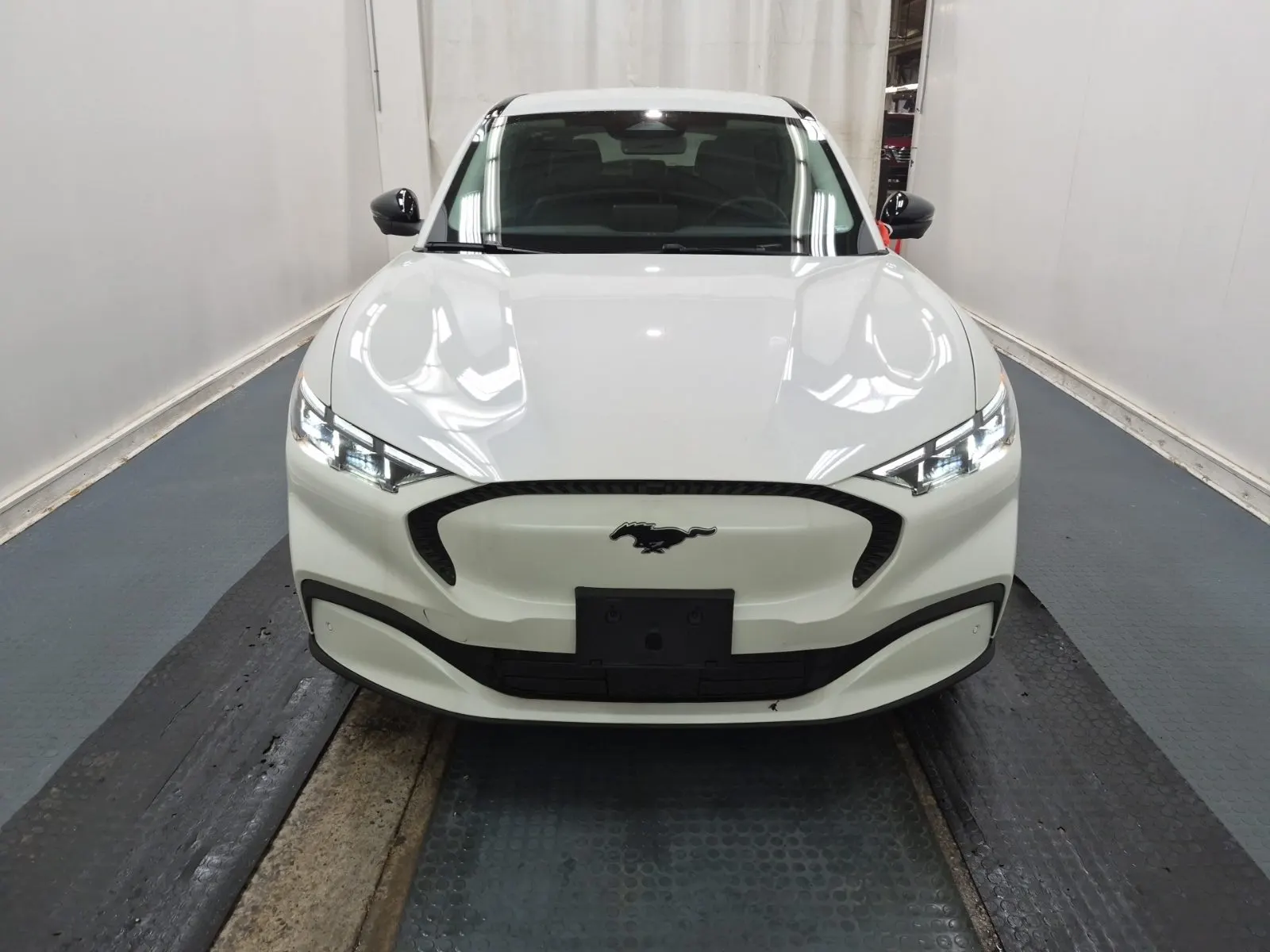 Full Front Photo