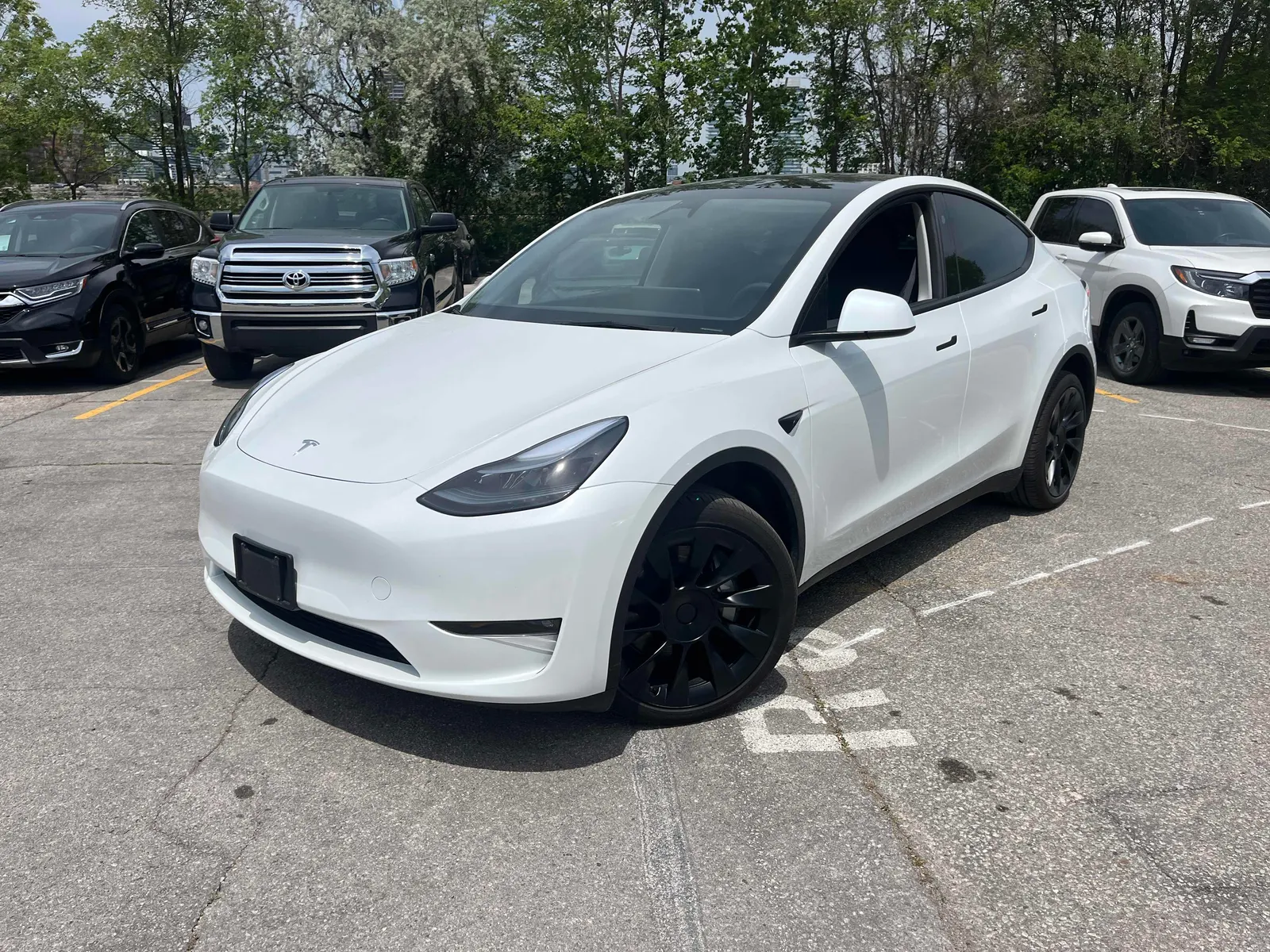 2024 Tesla Model Y