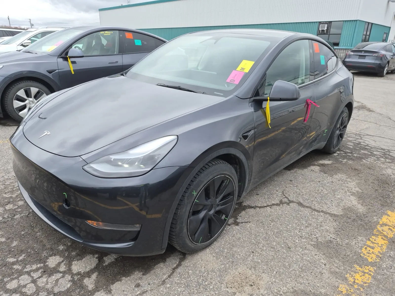2025 Tesla Model Y