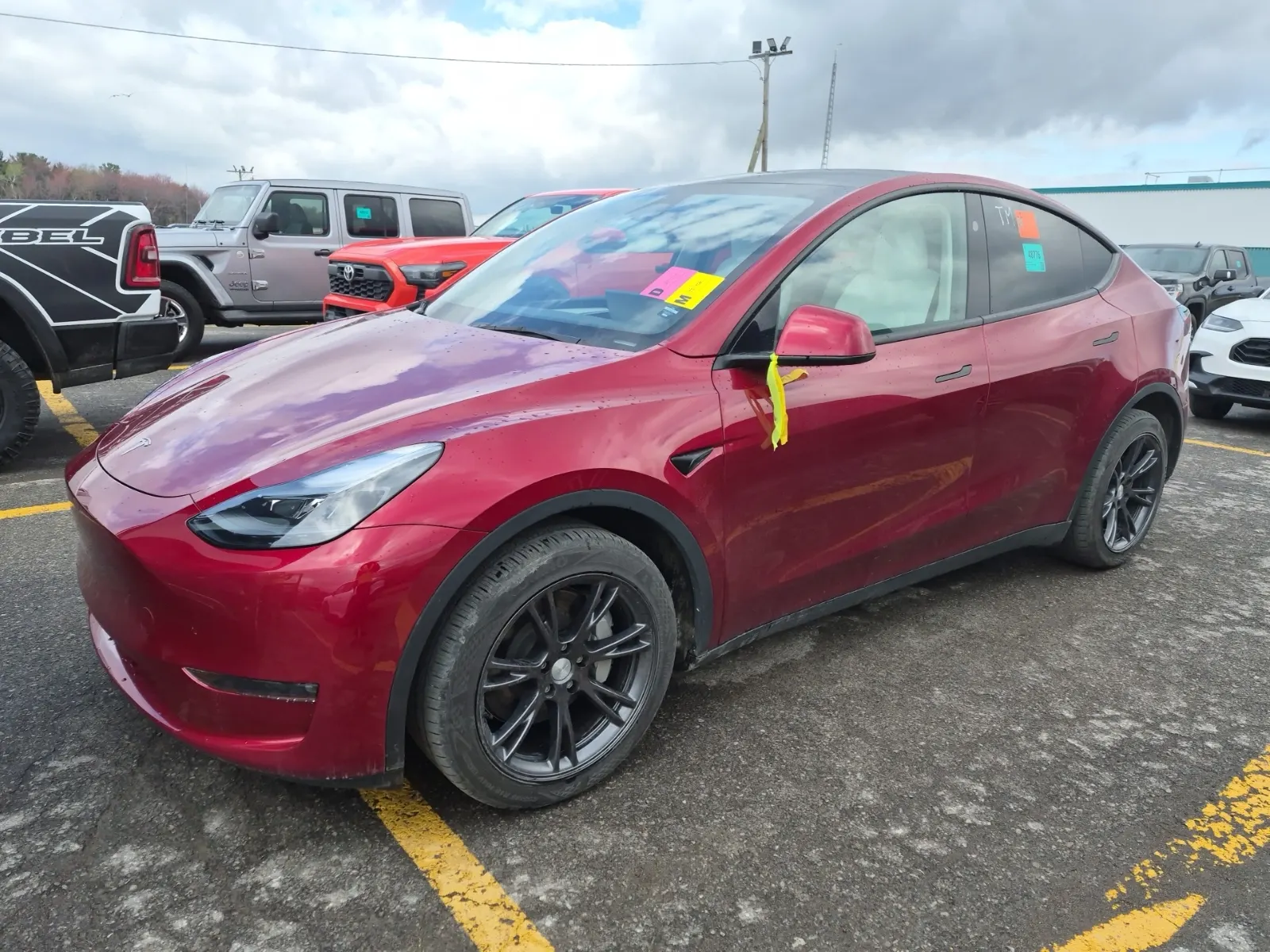 2024 Tesla Model Y