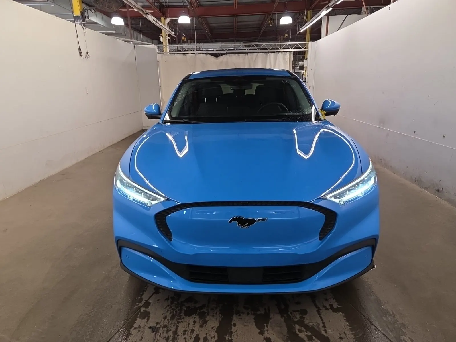 Full Front Photo