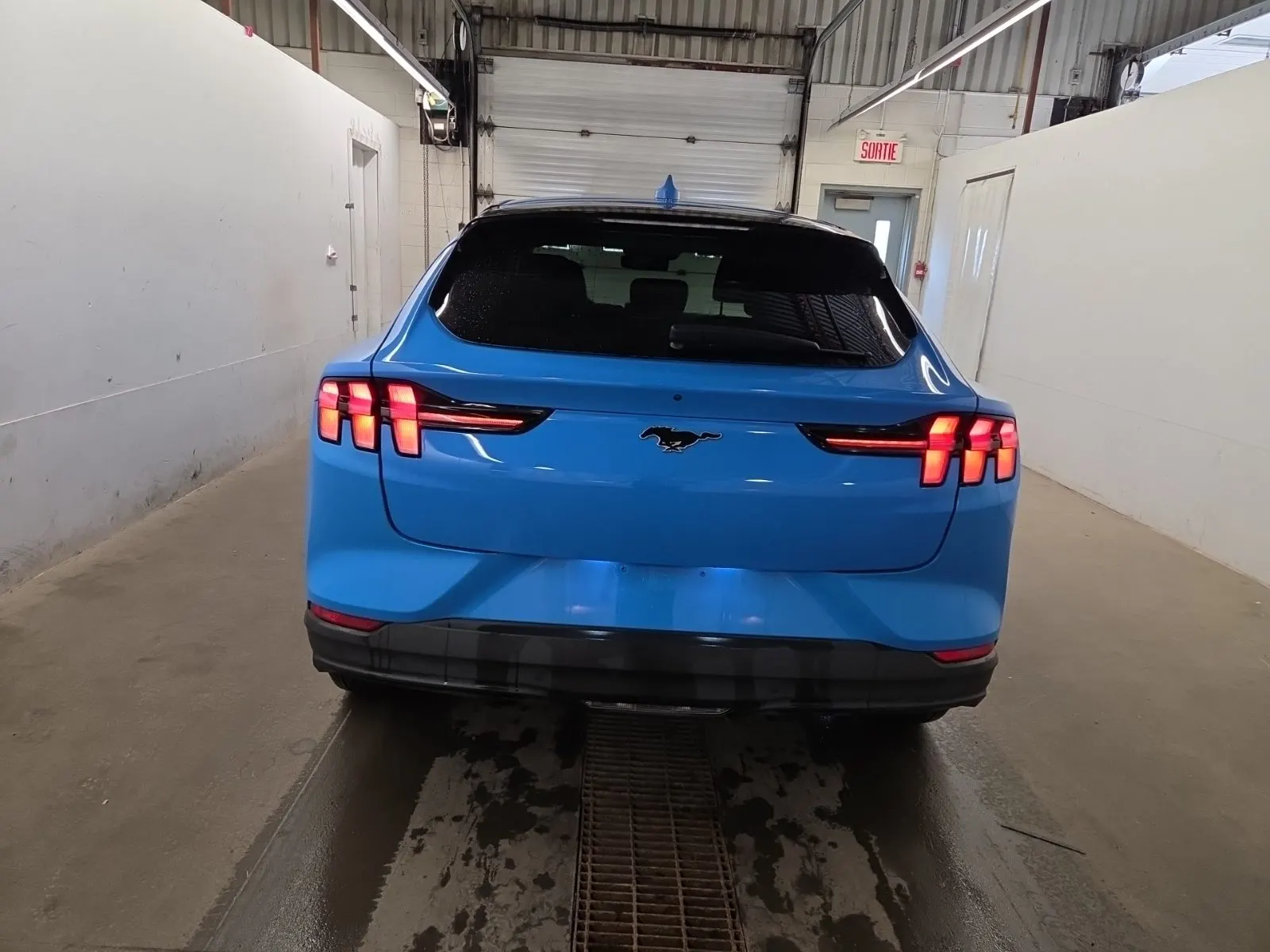 Full Rear Photo