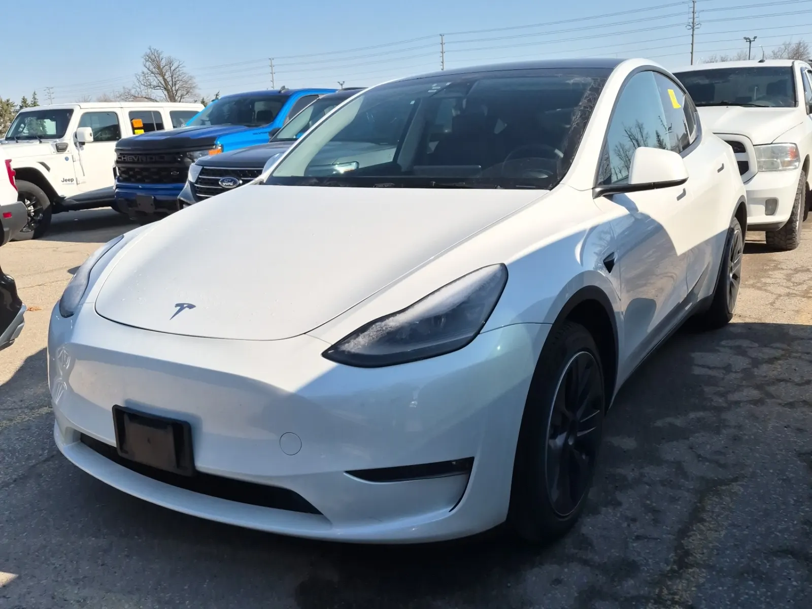 2023 Tesla Model Y
