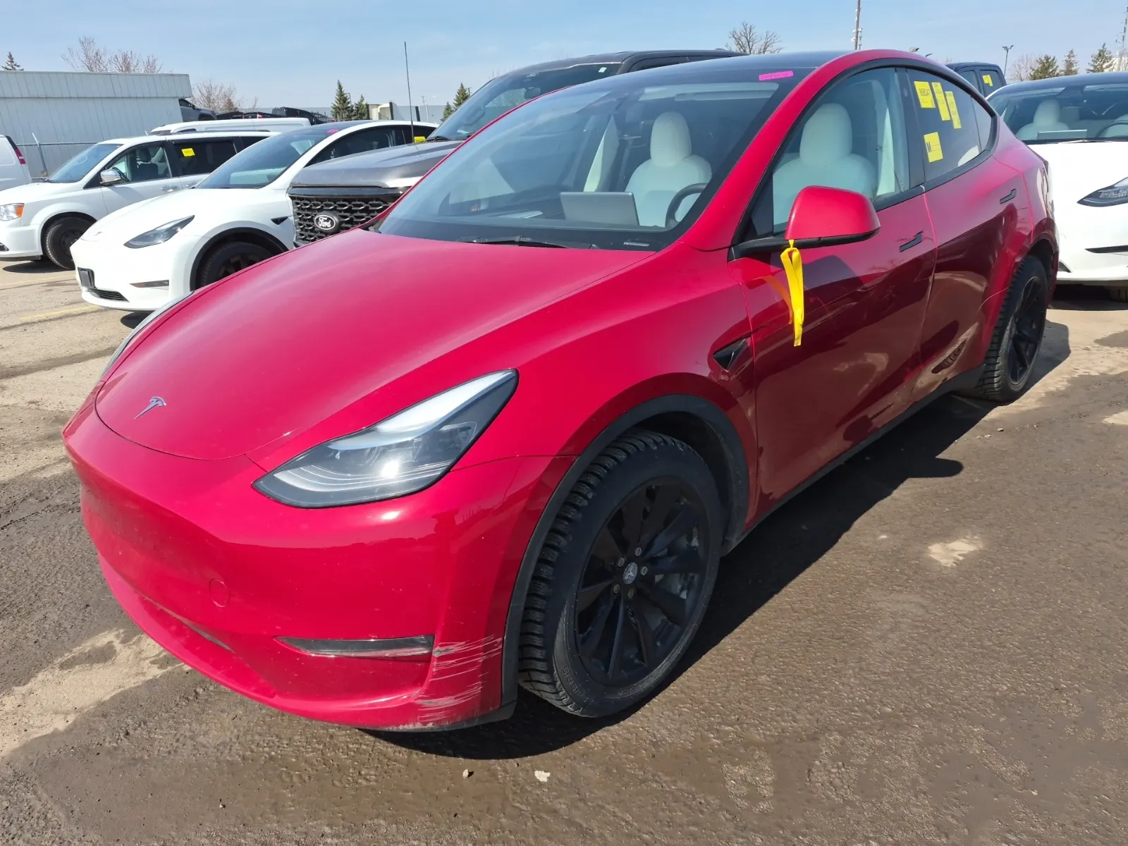 2023 Tesla Model Y