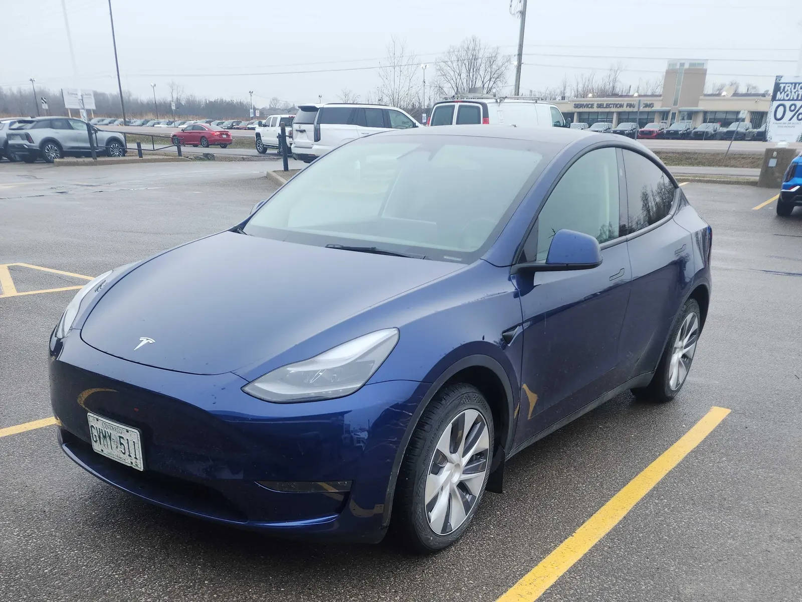 2024 Tesla Model Y