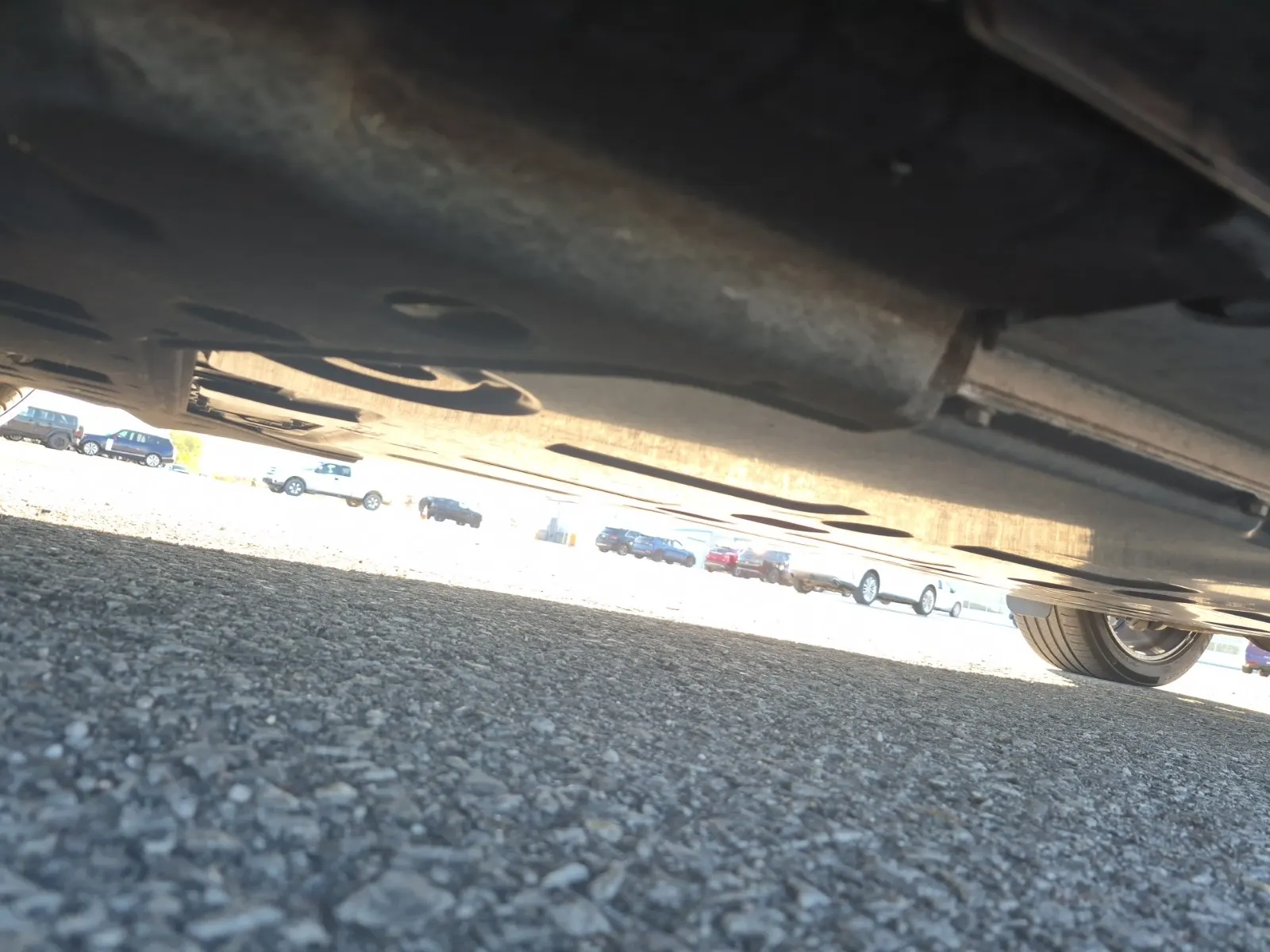 Undercarriage - Driver Photo