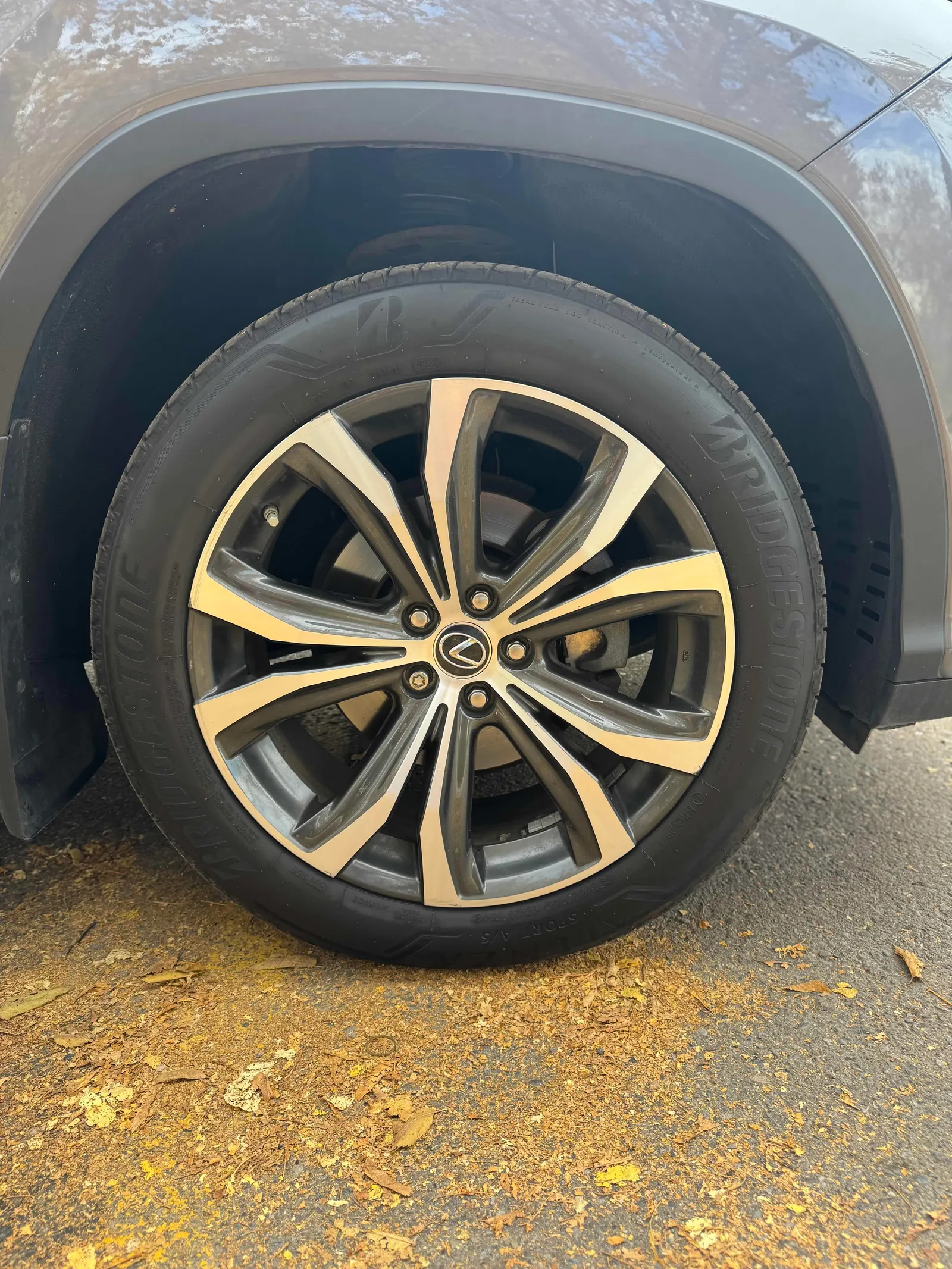 Tire