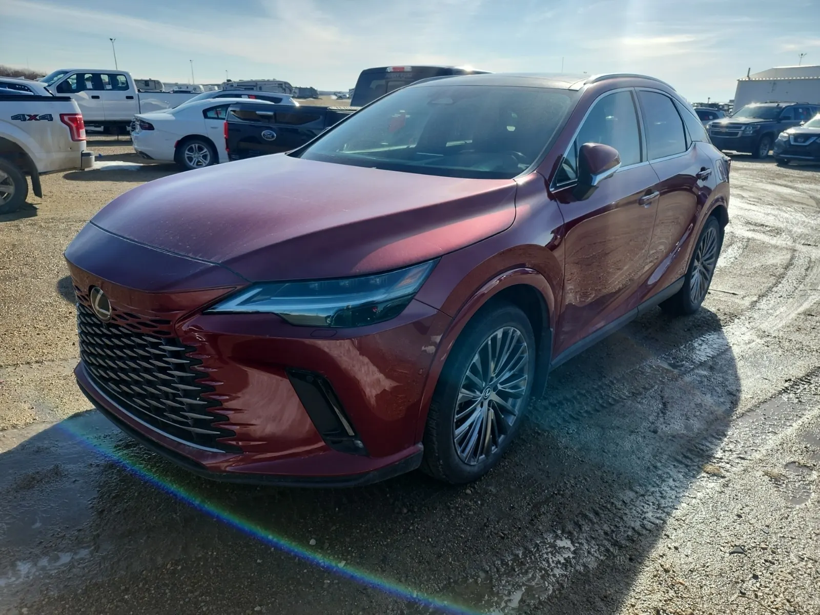 2024 Lexus RX