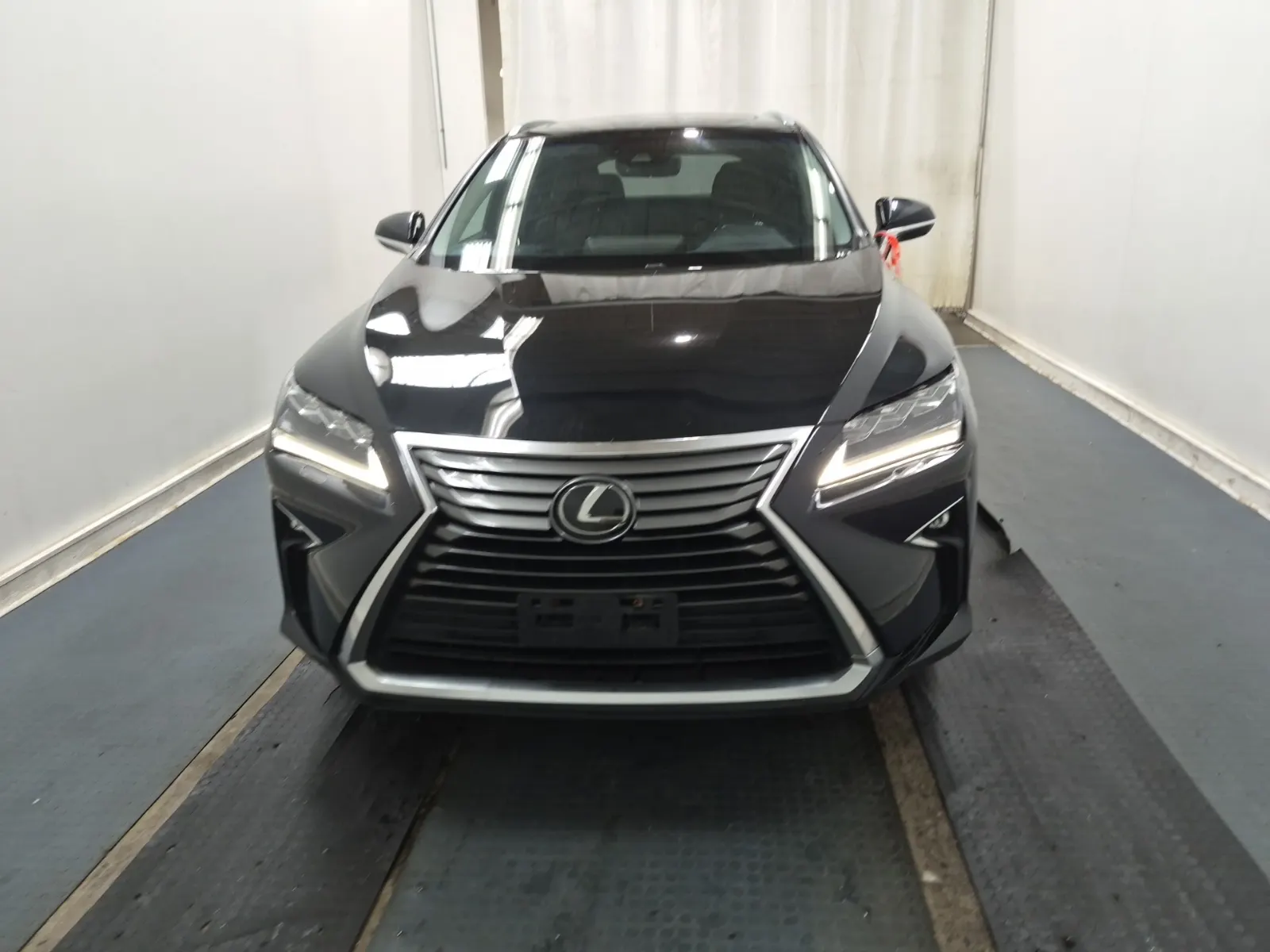 Full Front Photo