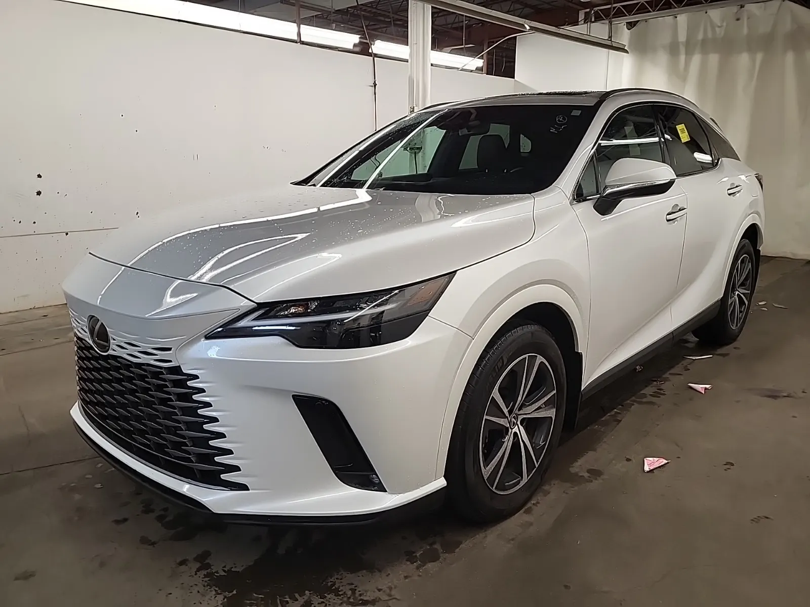 2025 Lexus RX