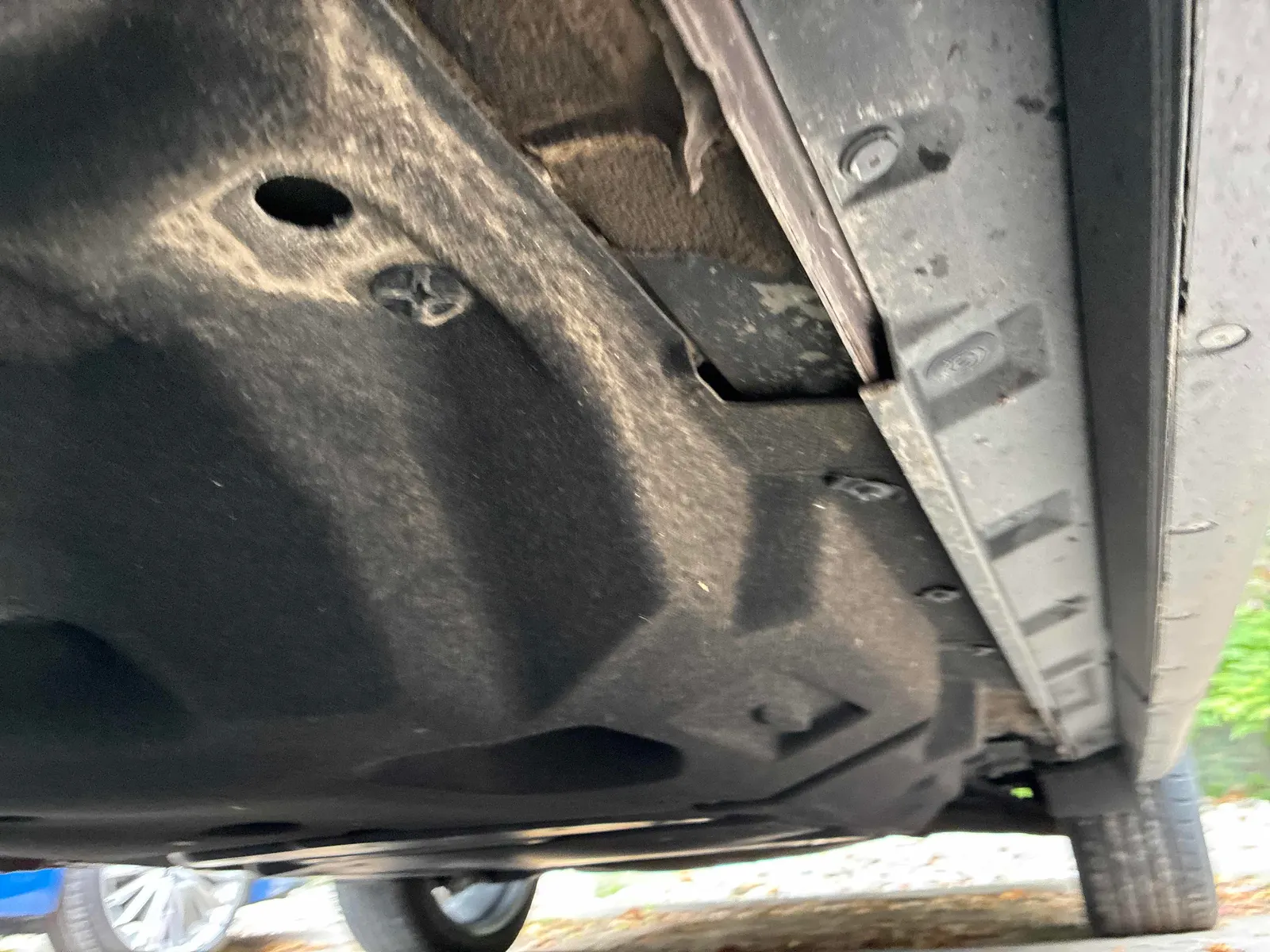 Additional Photo