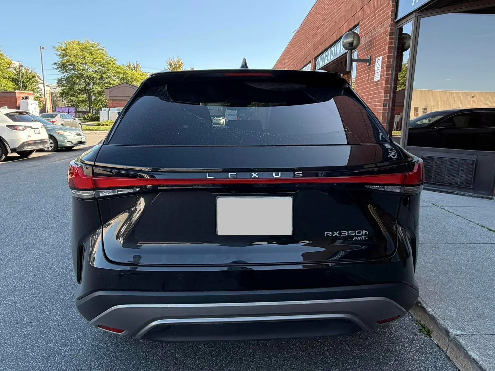 Back