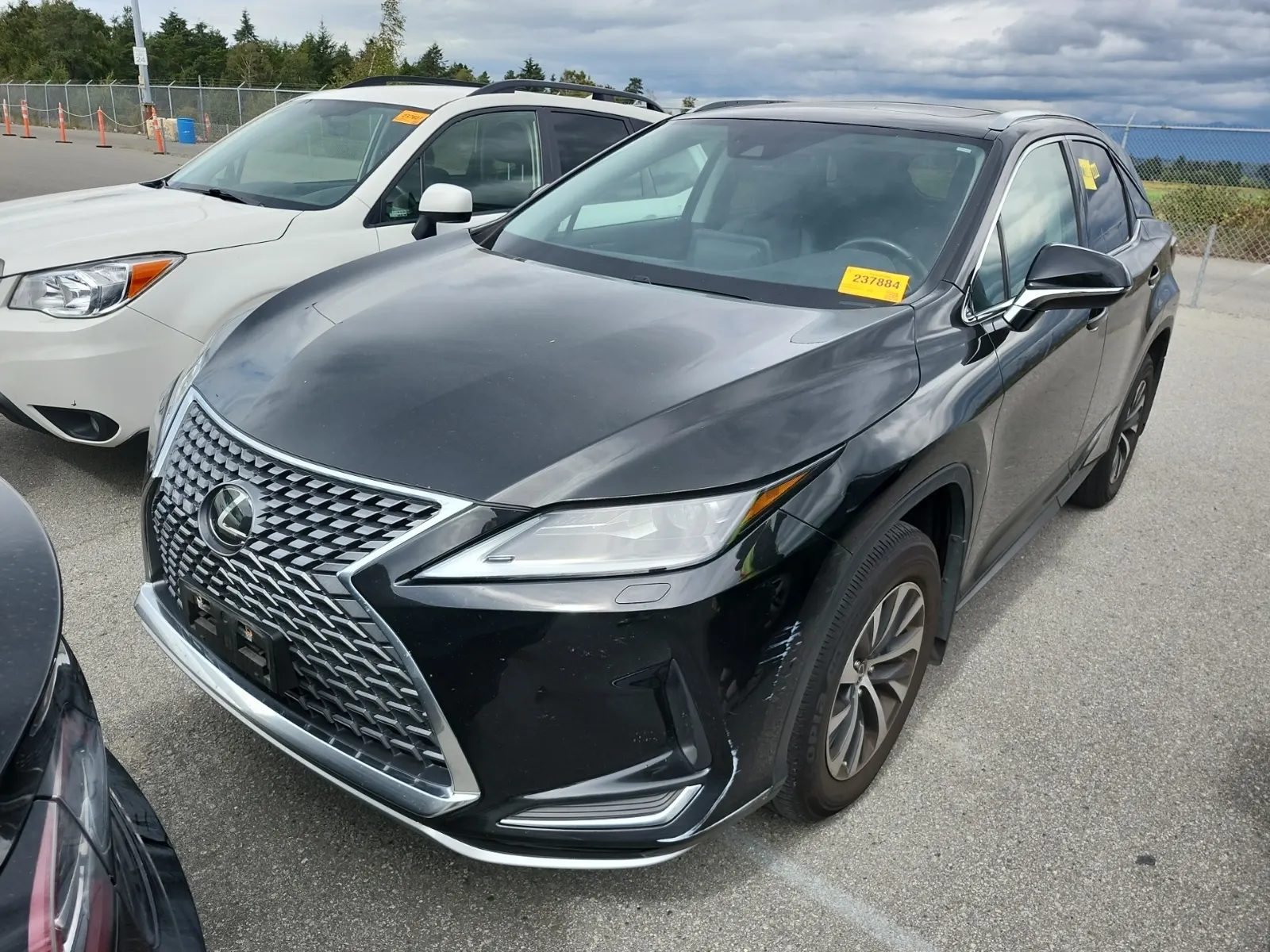 2020 Lexus RX