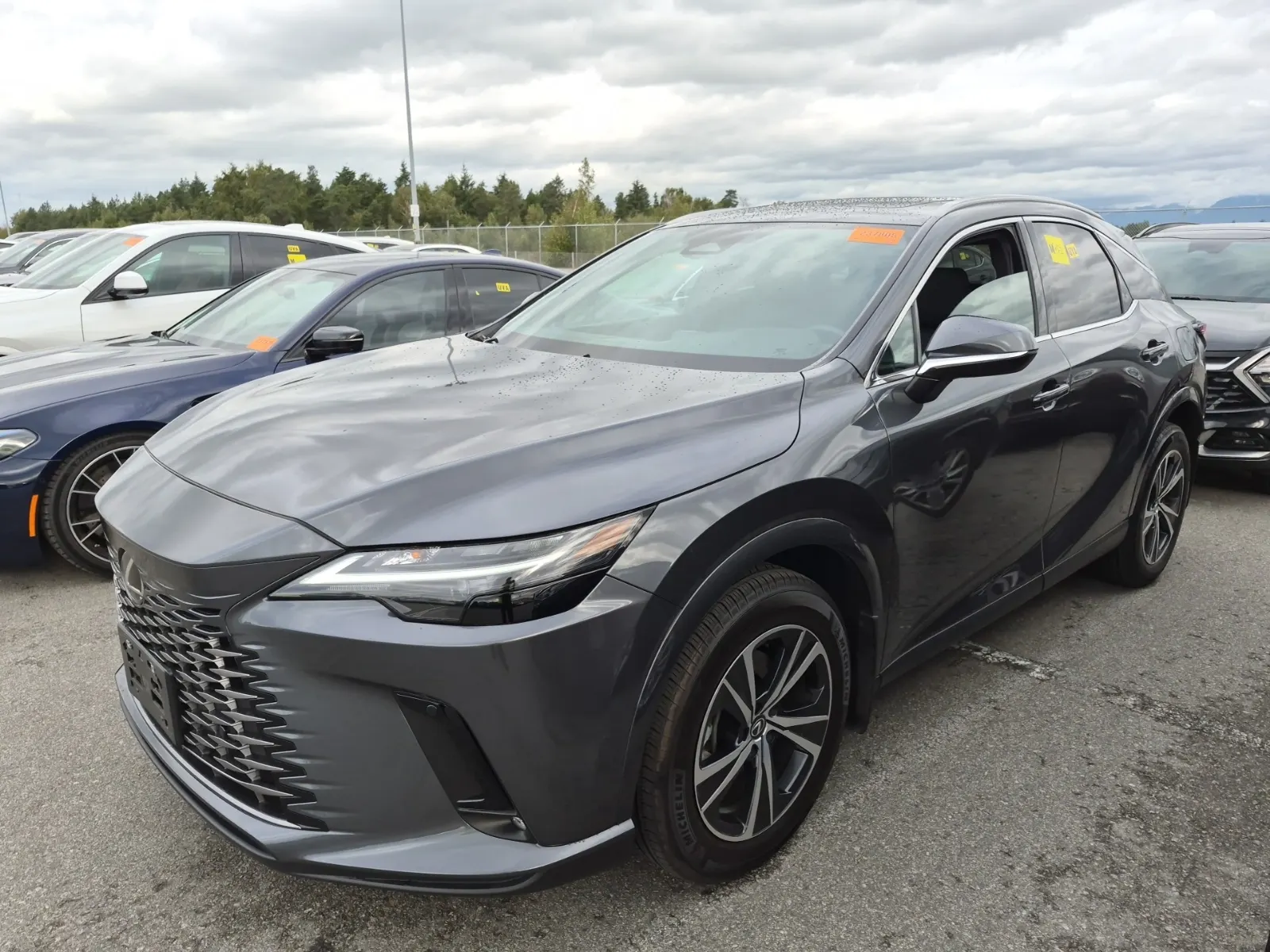 2024 Lexus RX