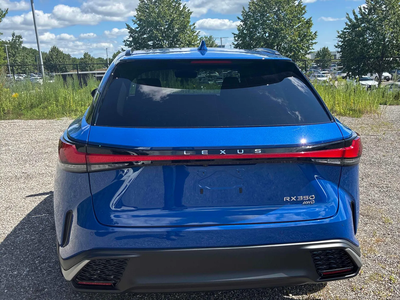 Back