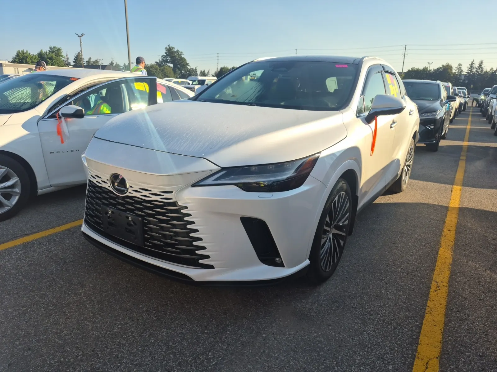 2024 Lexus RX