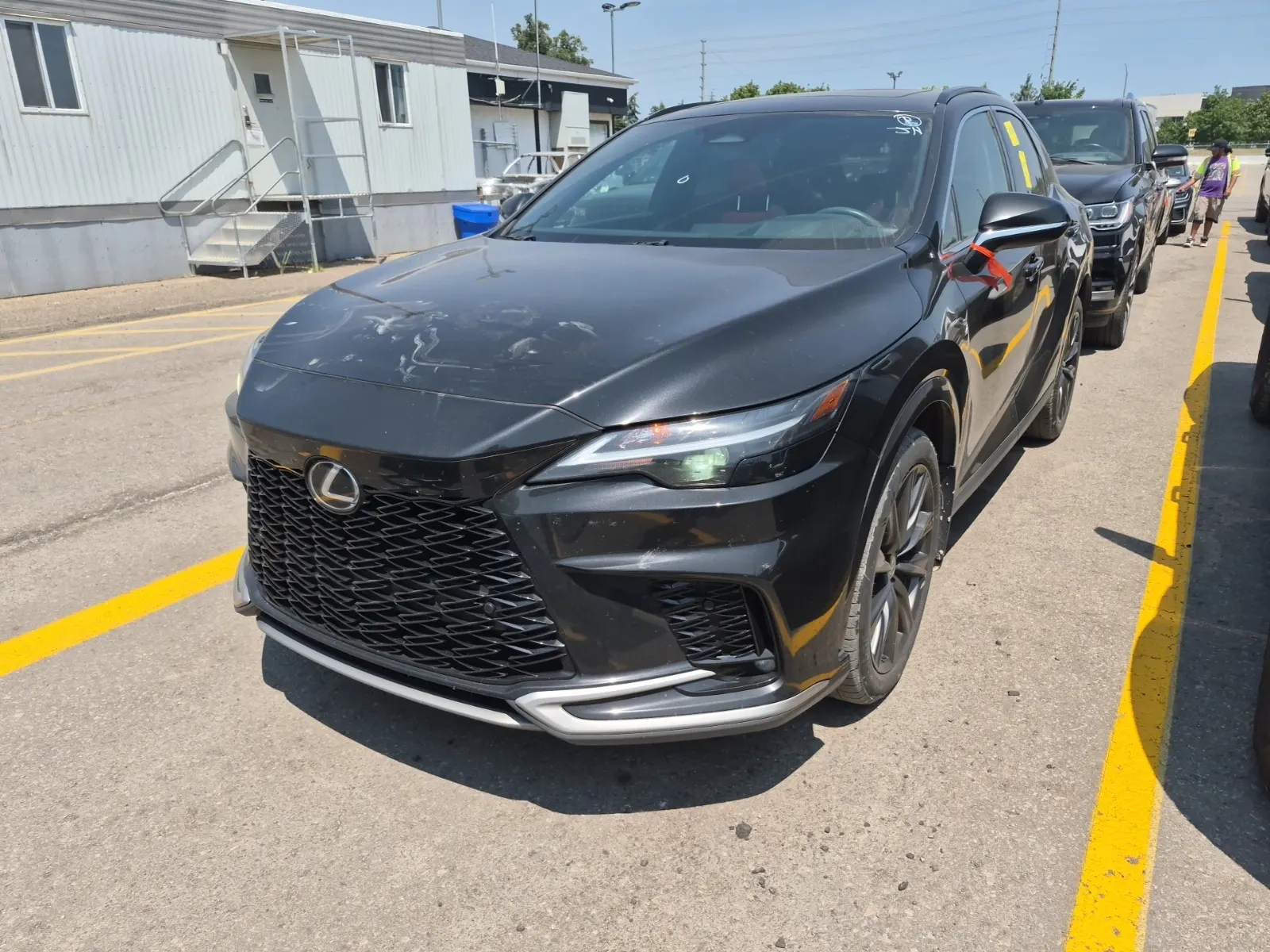 2024 Lexus RX