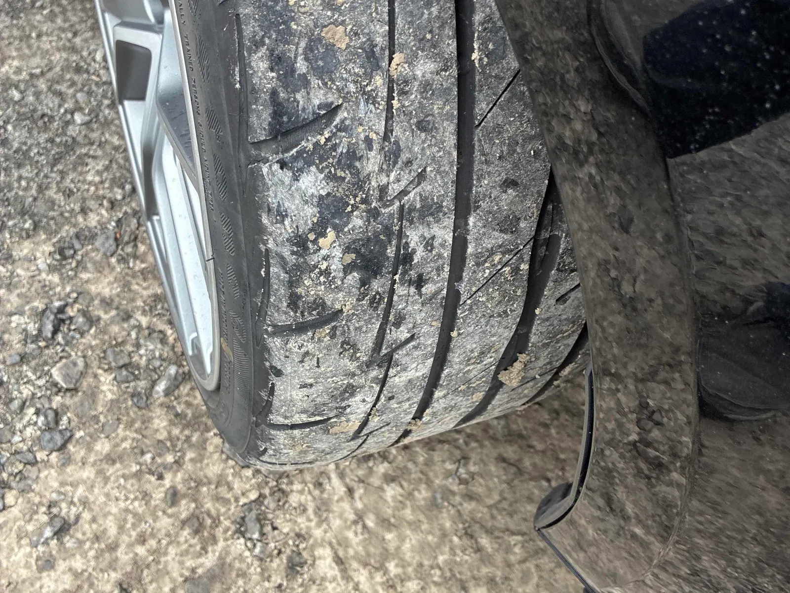 Additional Photo