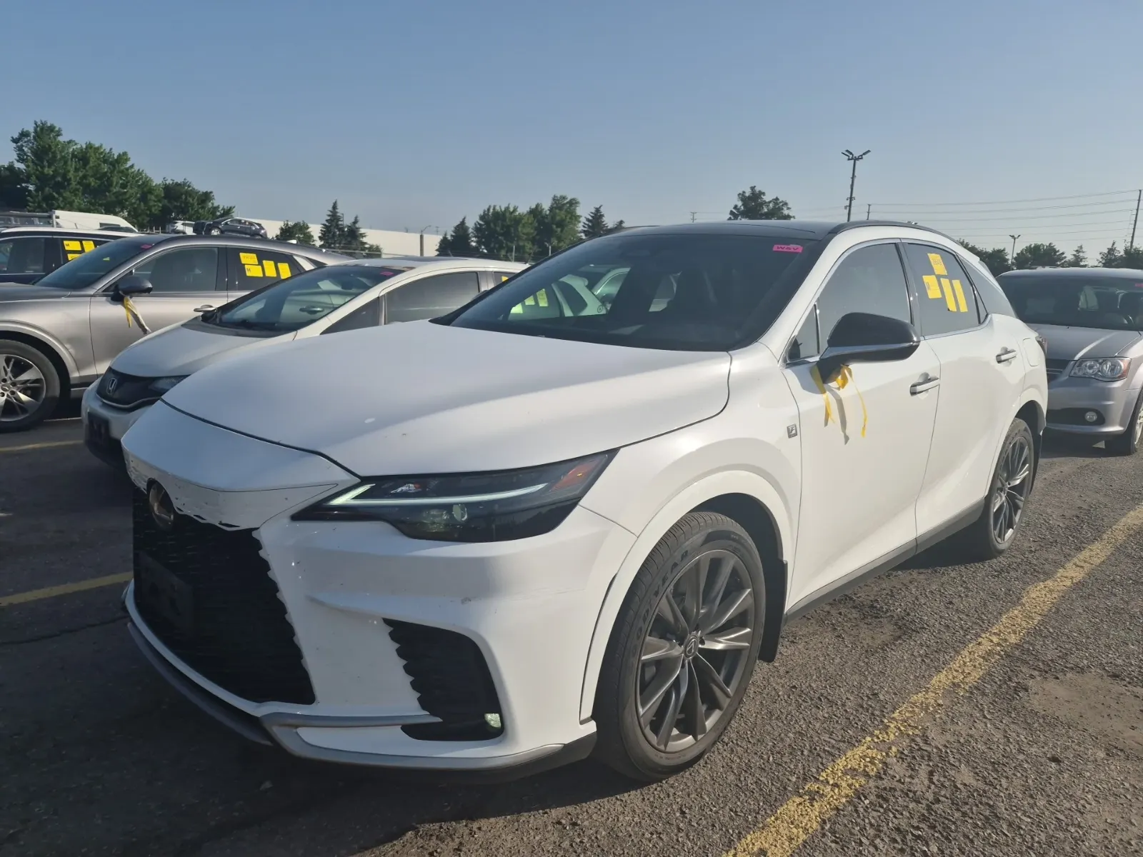 2023 Lexus RX