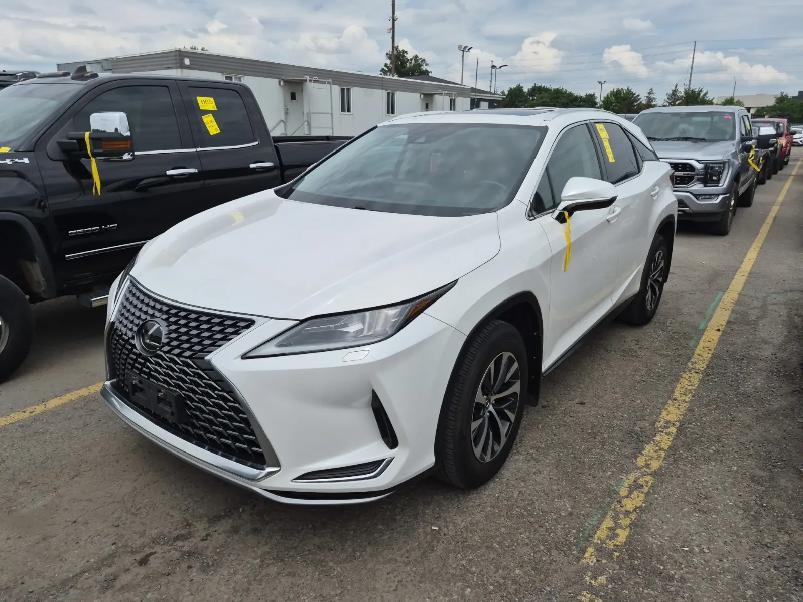 2020 Lexus RX