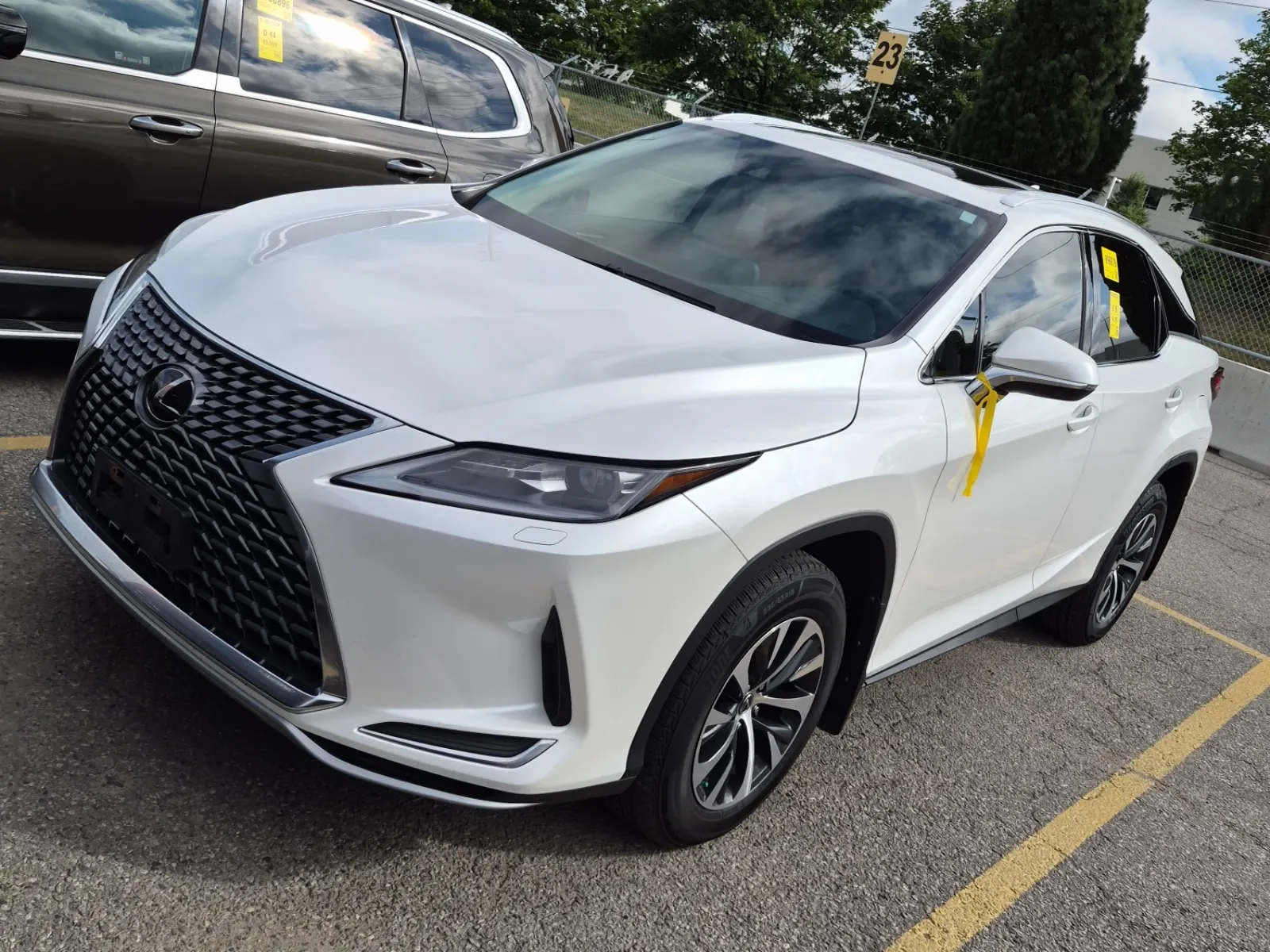 2022 Lexus RX