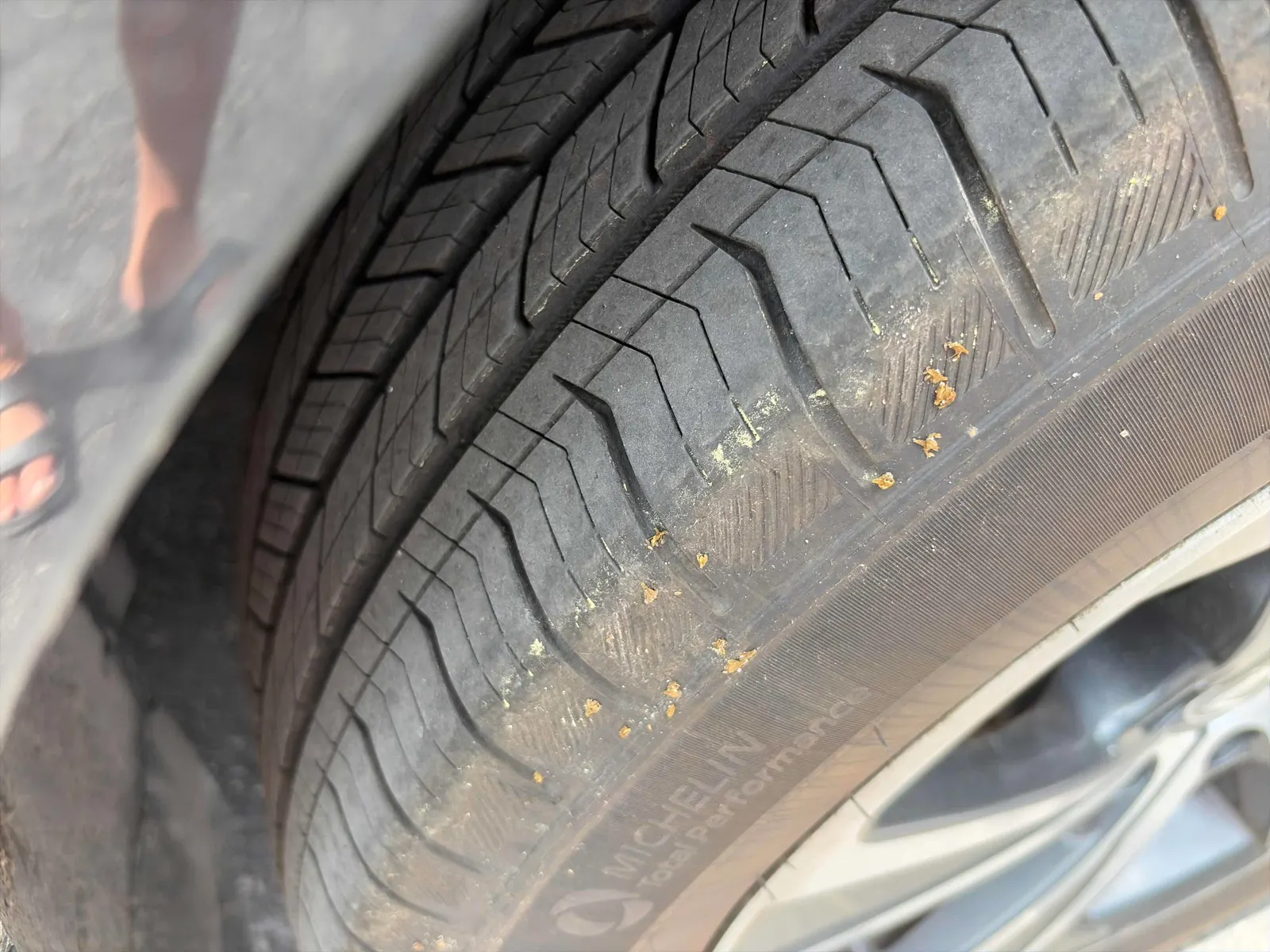 Tire