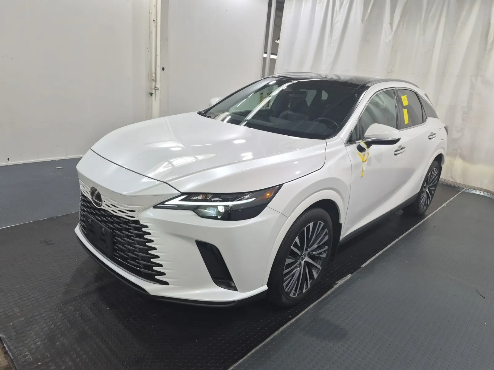 2024 Lexus RX