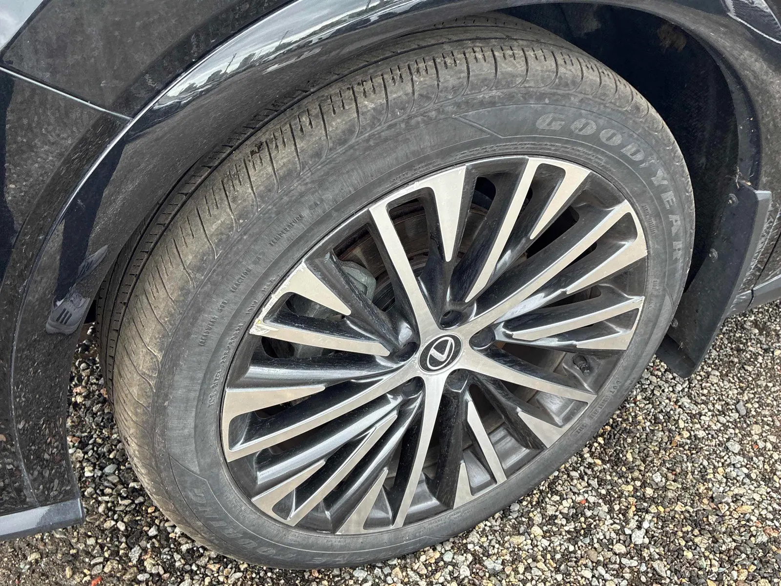 Tire