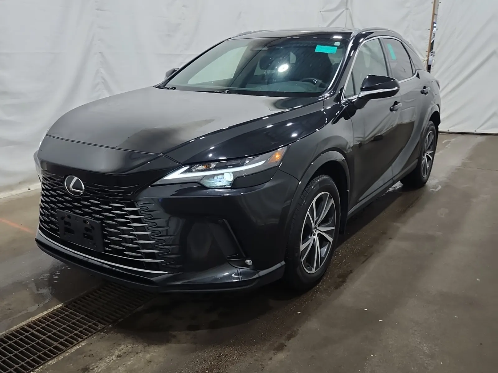 2024 Lexus RX