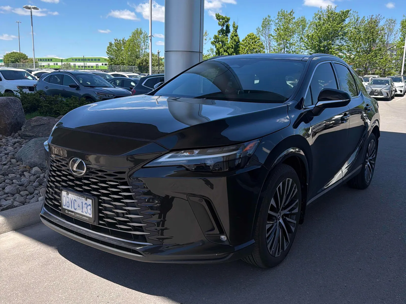 2024 Lexus RX