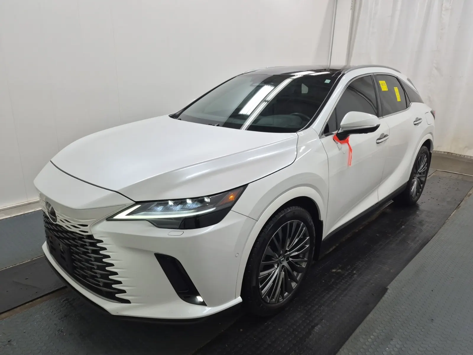 2024 Lexus RX
