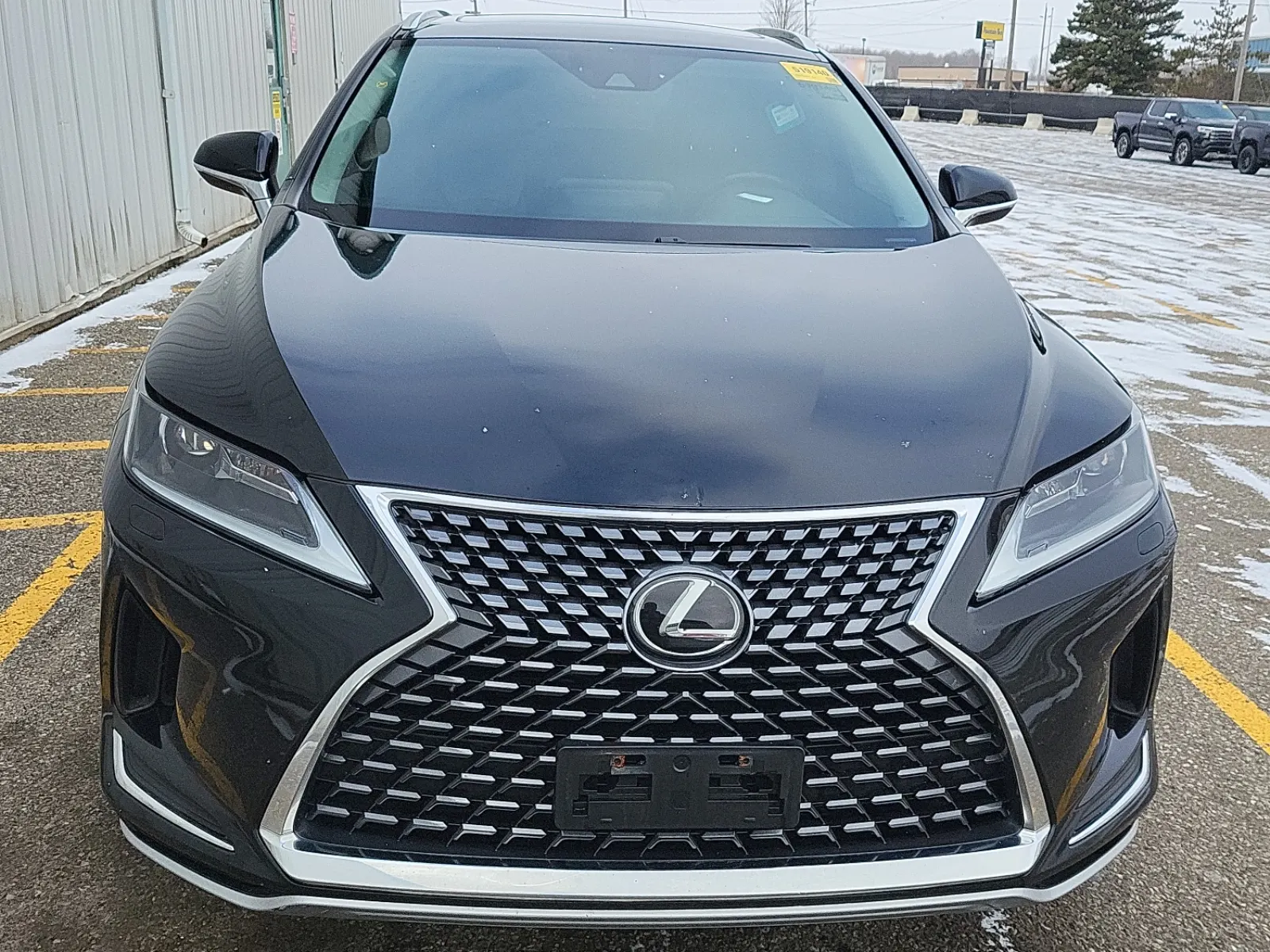 Full Front Photo