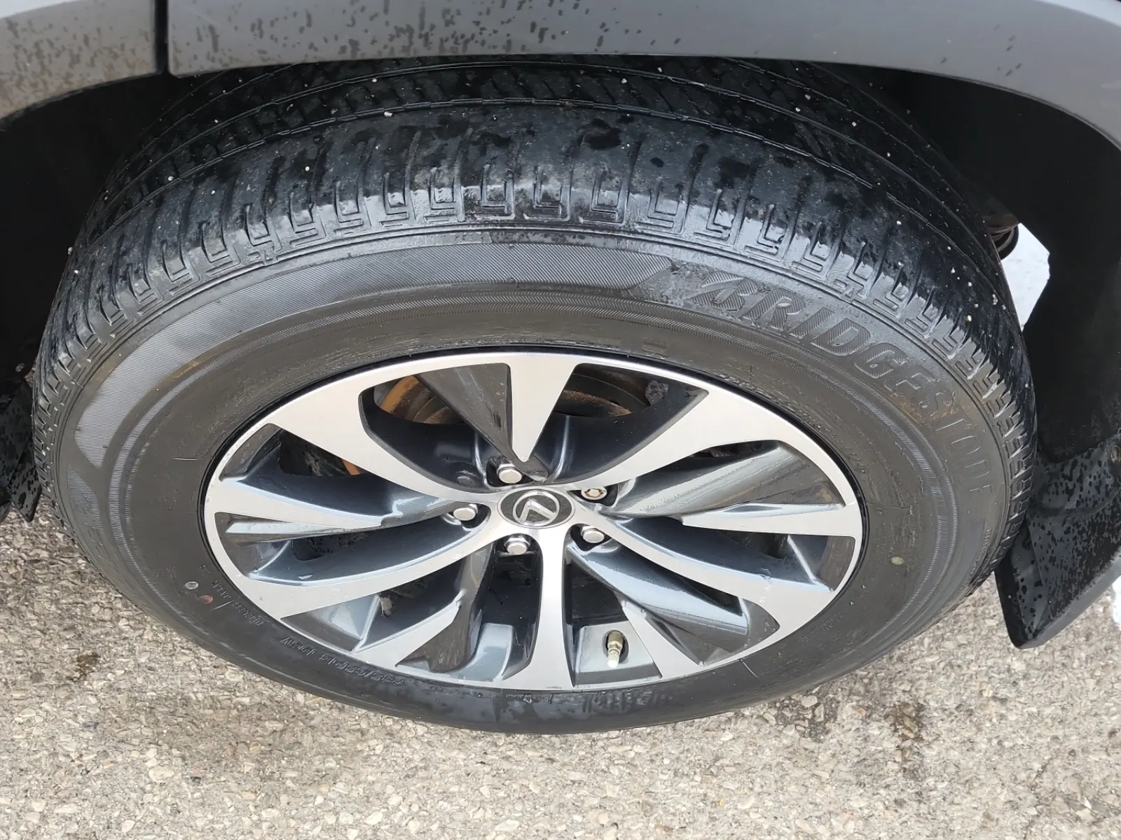 Left Rear Wheel/Tire Photo